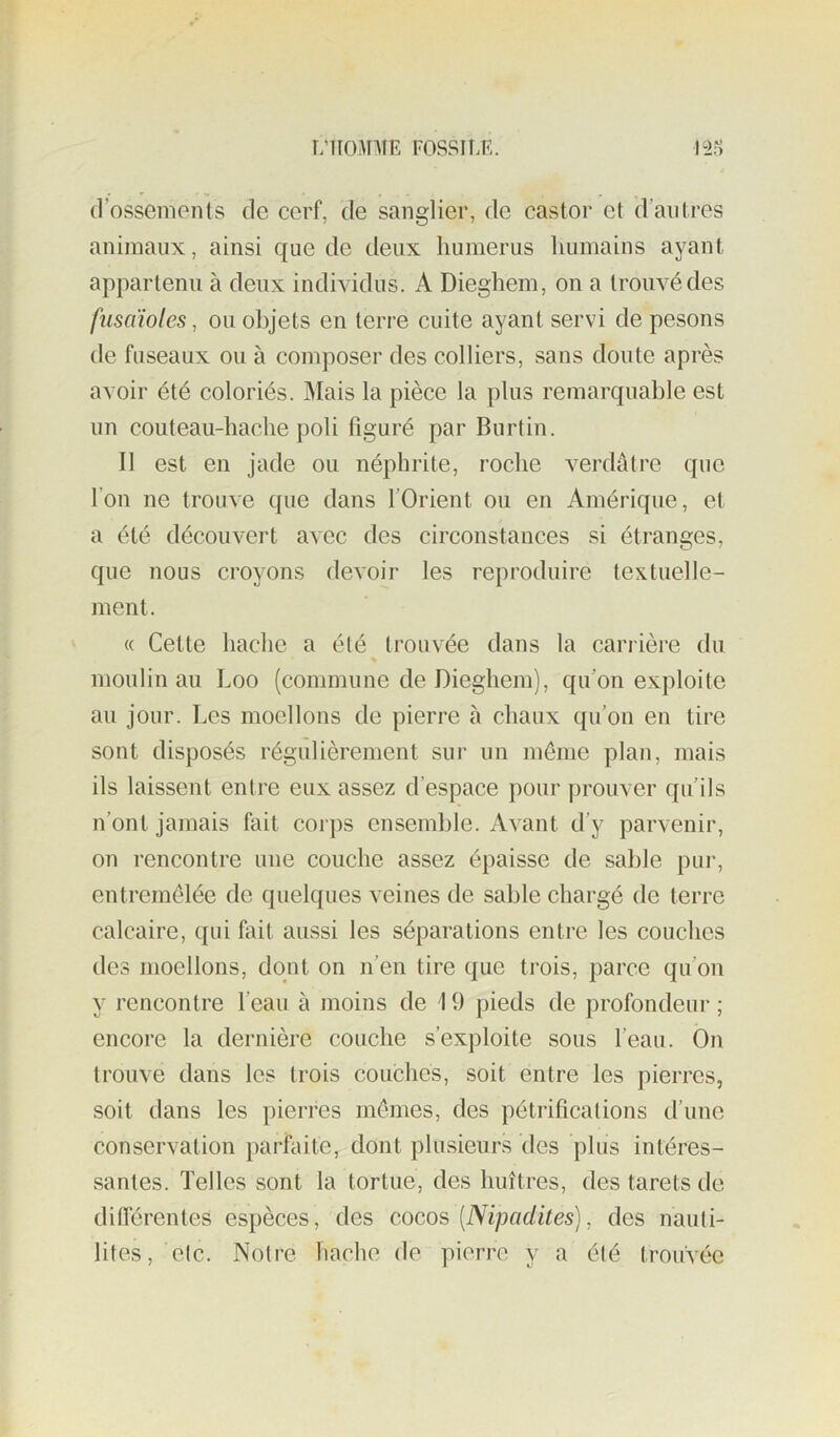 î/TIOJnîE FOSSILE. nH d’ossements de cerf, de sanglier, de castor et d’antres animaux, ainsi que de deux humérus humains ayant appartenu à deux individus. A Dieghem, on a trouvé des fusaïoles, ou objets en terre cuite ayant servi de pesons de fuseaux ou à composer des colliers, sans doute après avoir été coloriés. Mais la pièce la plus remarquable est un couteau-hache poli figuré par Burtin. Il est en jade ou néphrite, roche verdâtre que l’on ne trouve que dans l’Orient ou en Amérique, et a été découvert avec des circonstances si étranges, que nous croyons devoir les reproduire textuelle- ment. « Cette hache a été trouvée dans la carrière du moulin au Loo (commune de Dieghem), qu’on exploite au jour. Les moellons de pierre à chaux qu’on en tire sont disposés régulièrement sur un même plan, mais ils laissent entre eux assez d’espace pour prouver qu’ils n’ont jamais fait corps ensemble. Avant d’y parvenir, on rencontre une couche assez épaisse de sable pui-, entremêlée de quelques veines de sable chargé de terre calcaire, qui fait aussi les séparations entre les couches des moellons, dont on n’en tire que trois, parce qu’on y rencontre l’eau à moins de i 9 pieds de profondeur ; encore la dernière couche s’exploite sous l’eau. Ôn trouve dans les trois couches, soit entre les pierres, soit dans les pierres mêmes, des pétrifications d’une conservation parfaite, dont plusieurs des plus intéres- santes. Telles sont la tortue, des huîtres, des tarets de différentes espèces, des cocos [Nipadites], des nauti- lites, etc. Notre hache de pierre y a été trouvée