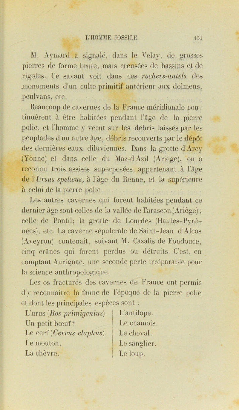 Af. Ayniarcl a signalé, dans le Velay, de grosses jâerres de forme brute, mais creusées de bassins et de ligoles. Ce savant voit dans ces rochers-autels des monuments d’im culte primitif antérieur aux dolmens, peulvans, etc. Beaucoup de cavernes de la France méridionale con- tinuèrent à être habitées pendant l’âge de la pierre polie, et l’homme y vécut sur les débris laissés par les peuplades d’un autre âge, débris recouverts par le dépôt des dernières eaux diluviennes. Dans la grotte d’Arcy (Yonne) et dans celle du •Maz-d’Azil (Ariège), on a reconnu trois assises superposées, appartenant à l’âge de Xllrsus spelœus, à l’âge du Renne, et la supérieure à celui de la pierre polie. Les autres cavernes qui furent habitées pendant ce dernier âge sont celles de la vallée deTarascon (Ariège) ; celle de Pontil; la grotte de Lourdes (Hautes-Pyré- nées), etc. La caverne sépulcrale de Saint-.lean d’Alcos (Aveyron) contenait, suivant iM, Cazalis de Fondouce, cinq crânes qui furent perdus ou détruits. C’est, en comptant Aurignac, une seconde perte irréparable pour la science anthropologique. Les os fracturés des cavernes de France ont permis d’y reconnaître la faune de l’époque de la pierre polie et dont les principales espèces sont : L’urus {Bos primigenius). Un petit bœuf ? Le cerf [Cervus elaphiis). Le mouton. La chèvre. L’antilope. Le chamois. Le cheval. Le sanglier. Le loup.