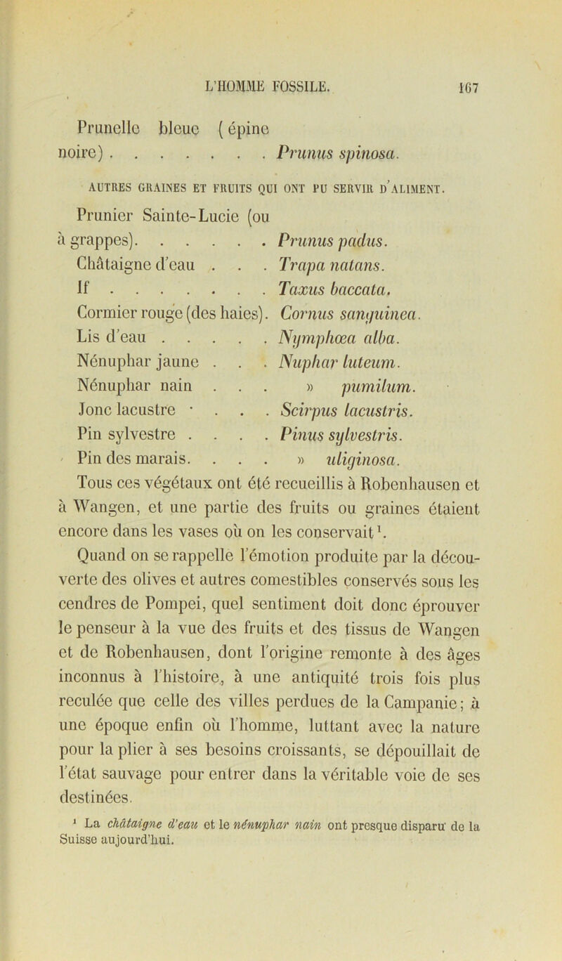 Prunelle bleue ( épine noire) Prunus spinosa. AUTRES GRAINES ET FRUITS QUI ONT PU SERVIR D ALIMENT. Prunier Sainte-Lucie (ou Tous ces végétaux ont été recueillis à Robenhausen et à Wangen, et une partie des fruits ou graines étaient encore dans les vases où on les conservait L Quand on se rappelle l’émotion produite par la décou- verte des olives et autres comestibles conservés sous les cendres de Pompei, quel sentiment doit donc éprouver le penseur à la vue des fruits et des tissus de Wangen et de Robenhausen, dont l’origine remonte à des âges inconnus à l’histoire, à une antiquité trois fois plus reculée que celle des villes perdues de la Campanie ; à une époque enfin où l’homme, luttant avec la nature pour la plier à ses besoins croissants, se dépouillait de l’état sauvage pour entrer dans la véritable voie de ses destinées. * La châtaigne d’eau et le nénuphar nain ont presque disparu de la Suisse aujourd’hui. à grappes). . . Châtaigne d’eau . Prunus padîis. Trapu nalans. Taxas baccala. Cornus sampdnea. Nympliœa alba. Nupliar luteum. » pumilum. Scirpus lacuslris. Pinus sijlvestris. » uliginosa. If . Cormier rouge (des haies) Lis d’eau .... Nénuphar jaune . Nénuphar nain Jonc lacustre • . Pin sylvestre .