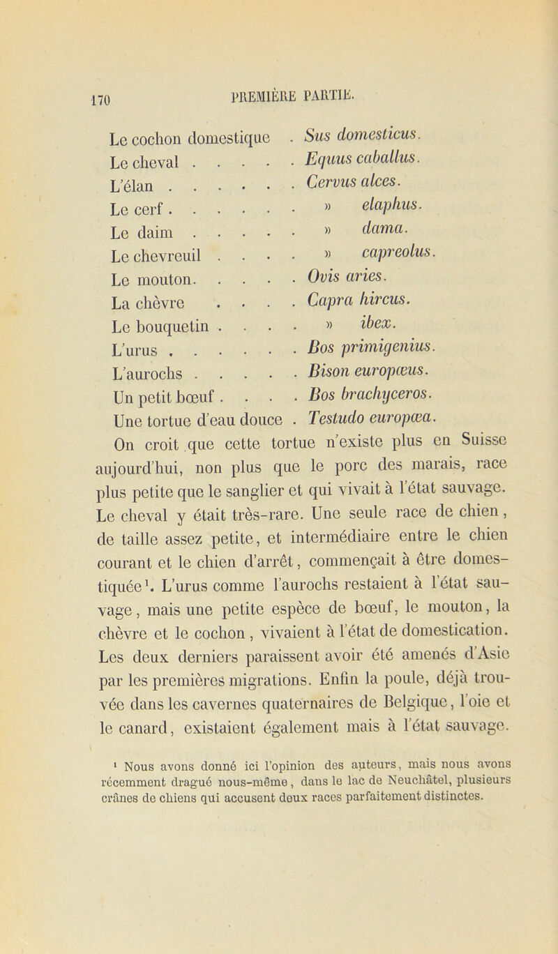 Le cochon domestique Le cheval .... L’élan Le cerf Le daim .... Le chevreuil . Le mouton. La chèvre Le bouquetin . L’urus L’aurochs .... Un petit bœuf . Une tortue d’eau douce Sus domesticus. Ecjuus cabaUus. Cervus alces. )) elaplius. » dama. » capreolus. Ovis aries. Capra liircus. )) ibex. Bos primigenius. Bison europceus. Bos bî'acliyceros. Testudo europœa. On croit que cette tortue n existe plus en Suisse aujourd’hui, non plus que le porc des marais, race plus petite que le sanglier et qui vivait à l’état sauvage. Le cheval y était très-rare. Une seule race de chien, de taille assez petite, et intermédiaire entre le chien courant et le chien d’arrêt, commençait à être domes- tiquée h L’urus comme l’aurochs restaient à l’état sau- vage , mais une petite espèce de bœuf, le mouton, la chèvre et le cochon , vivaient à l’état de domestication. Les deux derniers paraissent avoir été amenés d Asie par les premières migrations. Enfin la poule, déjà trou- vée dans les cavernes quaternaires de Belgique, l’oie et le canard, existaient également mais à l’état sauvage. ‘ Nous avons donné ici l’opinion des auteurs, mais nous avons récemment dragué nous-même, daus le lac de Neuchâtel, plusieurs crânes de chiens qui accusent deux races parfaitement distinctes.
