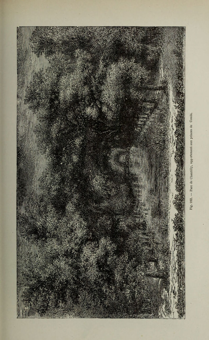 Fig. 282. — Parc de Chantilly, appartenant aux princes de Condé,