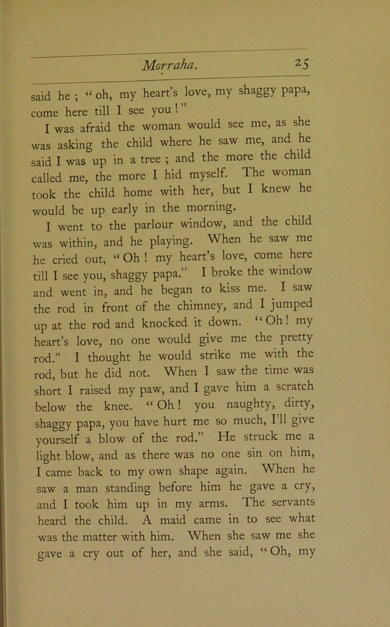 said he ; “ oh, my heart’s love, my shaggy papa, come here till I see you! I was afraid the woman would see me, as she was asking the child where he saw me, and he said I was up in a tree ; and the more the child called me, the more I hid myself. The woman took the child home with her, but I knew he would be up early in the morning. I went to the parlour window, and the child was within, and he playing. When he saw me he cried out, “ Oh ! my heart’s love, come here till I see you, shaggy papa.” I broke the window and went in, and he began to kiss me. ^ I saw the rod in front of the chimney, and I jumped up at the rod and knocked it down. “ Oh! my heart’s love, no one would give me the pretty rod.” I thought he would strike me with the rod, but he did not. When I saw the time was short I raised my paw, and I gave him a scratch below the knee. “Oh! you naughty, dirty, shaggy papa, you have hurt me so much, 111 give yourself a blow of the rod. He struck me a light blow, and as there was no one sin on him, I came back to my own shape again. When he saw a man standing before him he gave a cry, and I took him up in my arms. The servants heard the child. A maid came in to see what was the matter with him. When she saw me she gave a cry out of her, and she said, “ Oh, my