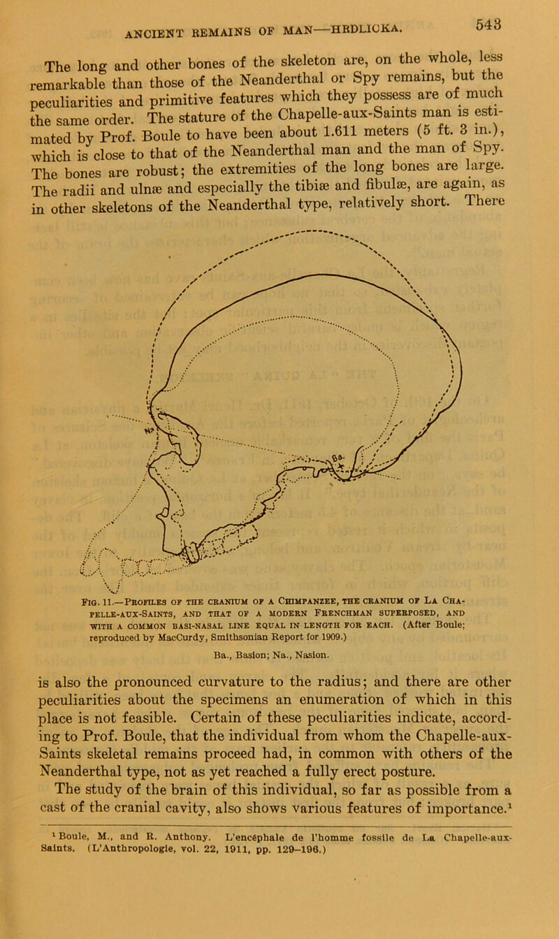 The long and other bones of the skeleton are, on the whole, less remarkable than those of the Neanderthal or Spy remains, but the peculiarities and primitive features which they possess are of much the same order. The stature of the Chapelie-aux-Saints man is esti- mated by Prof. Boule to have been about 1.611 meters (5 tt. 6m.), which is close to that of the Neanderthal man and the man of Spy. The bones are robust; the extremities of the long bones are large. The radii and ulnae and especially the tibiae and fibulae, are again, as in other skeletons of the Neanderthal type, relatively short. There Fig. 11.—Pbofiles of the ceanium of a Chimpanzee, the cranium of La Cha- pelle-aux-Saints, and that of a modern Frenchman superposed, and WITH A COMMON BASI-NASAL LINE EQUAL IN LENGTH FOR EACH. (Alter Boule; reproduced by MacCurdy, Smithsonian Report for 1909.) Ba., Basion; Na., Nasion. is also the pronounced curvature to the radius; and there are other peculiarities about the specimens an enumeration of which in this place is not feasible. Certain of these peculiarities indicate, accord- ing to Prof. Boule, that the individual from whom the Chapelle-aux- Saints skeletal remains proceed had, in common with others of the Neanderthal type, not as yet reached a fully erect posture. The study of the brain of this individual, so far as possible from a cast of the cranial cavity, also shows various features of importance.^ * Boule, M., and R. Anthony. L’encephale de I’homme fossile de I.a Chapelle-aux- Salnts. (L’Anthropologle, vol. 22, 1911, pp. 129-198.)