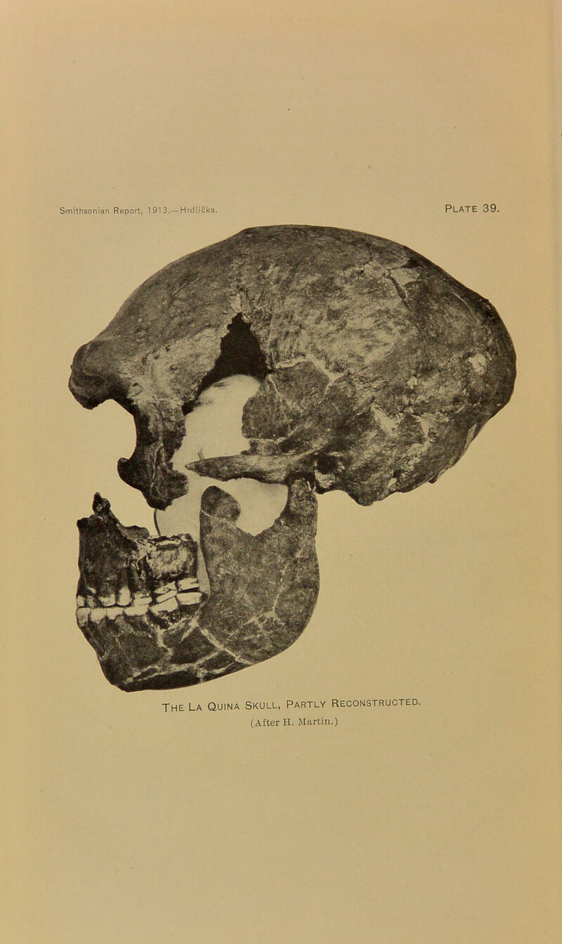 The La Quina Skull, Partly Reconstructed. (After H. Martin.)