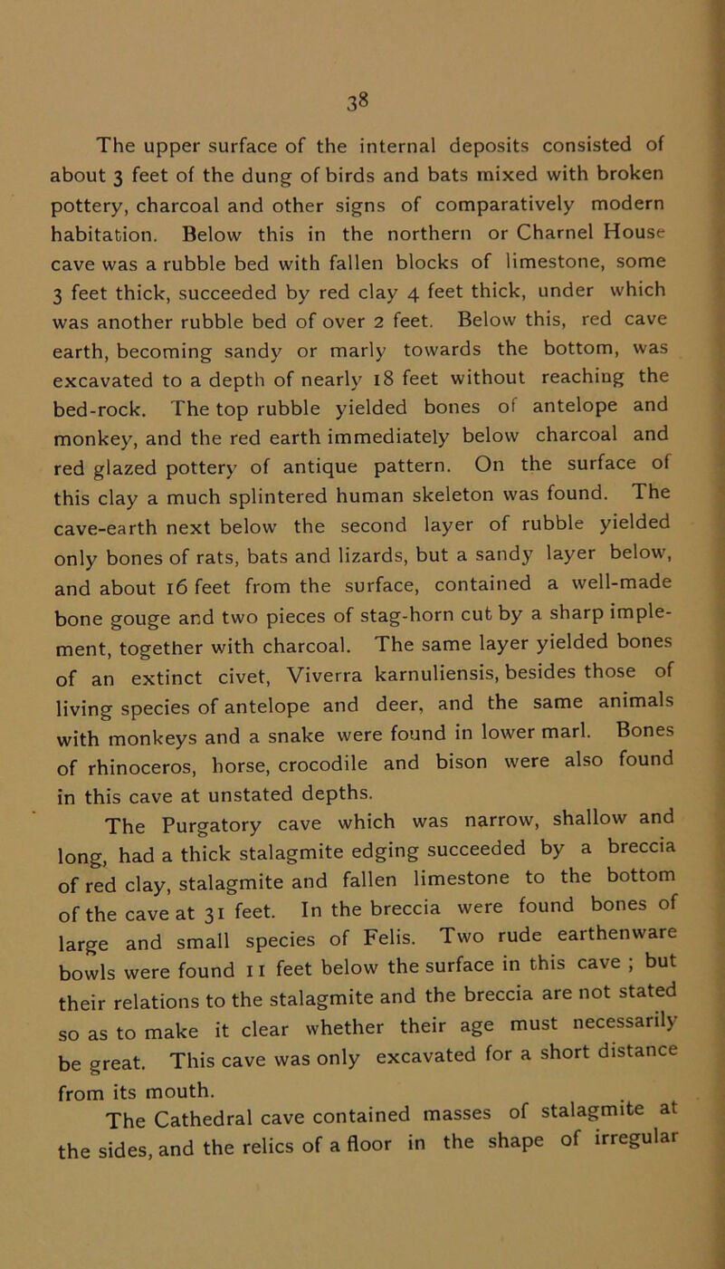 The upper surface of the internal deposits consisted of about 3 feet of the dung of birds and bats mixed with broken pottery, charcoal and other signs of comparatively modern habitation. Below this in the northern or Charnel House cave was a rubble bed with fallen blocks of limestone, some 3 feet thick, succeeded by red clay 4 feet thick, under which was another rubble bed of over 2 feet. Below this, red cave earth, becoming sandy or marly towards the bottom, was excavated to a depth of nearly 18 feet without reaching the bed-rock. The top rubble yielded bones of antelope and monkey, and the red earth immediately below charcoal and red glazed pottery of antique pattern. On the surface of this clay a much splintered human skeleton was found. The cave-earth next below the second layer of rubble yielded only bones of rats, bats and lizards, but a sandy layer below, and about 16 feet from the surface, contained a well-made bone gouge and two pieces of stag-horn cut by a sharp imple- ment, together with charcoal. The same layer yielded bones of an extinct civet, Viverra karnuliensis, besides those of living species of antelope and deer, and the same animals with monkeys and a snake were found in lower marl. Bones of rhinoceros, horse, crocodile and bison were also found in this cave at unstated depths. The Purgatory cave which was narrow, shallow and long, had a thick stalagmite edging succeeded by a breccia of red clay, stalagmite and fallen limestone to the bottom of the caveat 31 feet. In the breccia were found bones of large and small species of Felis. Two rude earthenware bowls were found 11 feet below the surface in this cave ; but their relations to the stalagmite and the breccia are not stated so as to make it clear whether their age must necessarily be great. This cave was only excavated for a short distance from its mouth. The Cathedral cave contained masses of stalagmite at the sides, and the relics of a floor in the shape of irregular