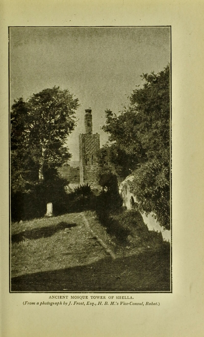 ANCIENT MOSQUE TOWER OF SIIELLA. (From aphotogtaph by J. Frost, Esq., H. B. M's Vice-Consul, Rabat.)