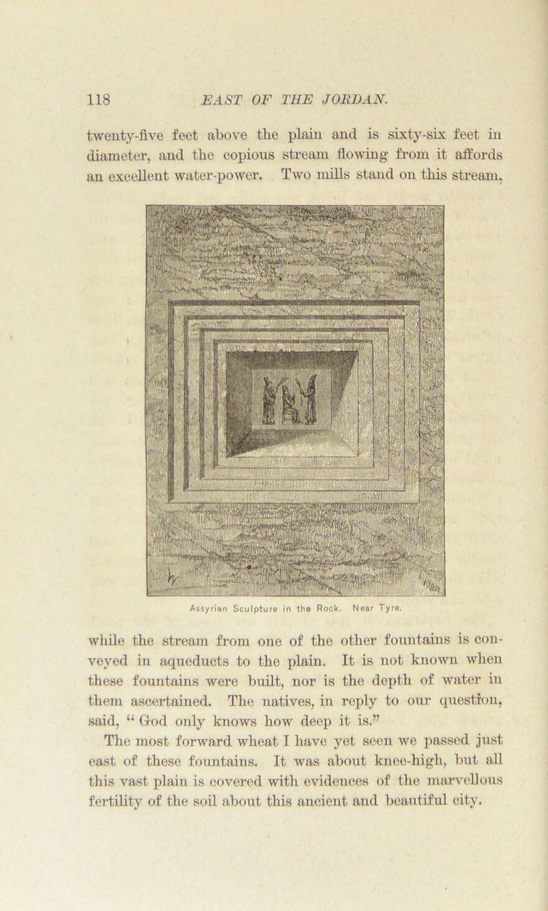 twenty-five feet above tlie plain and is sixty-six feet in diameter, and the copious stream flowing from it affords an excellent water-power. Two mills stand on this stream. Assyrian Sculpture in the Rock. Near Tyre. while the stream from one of the other fountains is con- veyed in aqueducts to the plain. It is not known when these fountains were built, nor is the depth of water in them ascertained. The natives, in reply to our question, said, “ God only knows how deep it is.” The most forward wheat I have yet seen we passed just east of these fountains. It was about knee-high, but all this vast plain is covered with evidences of the marvellous fertility of the soil about this ancient and beautiful city.