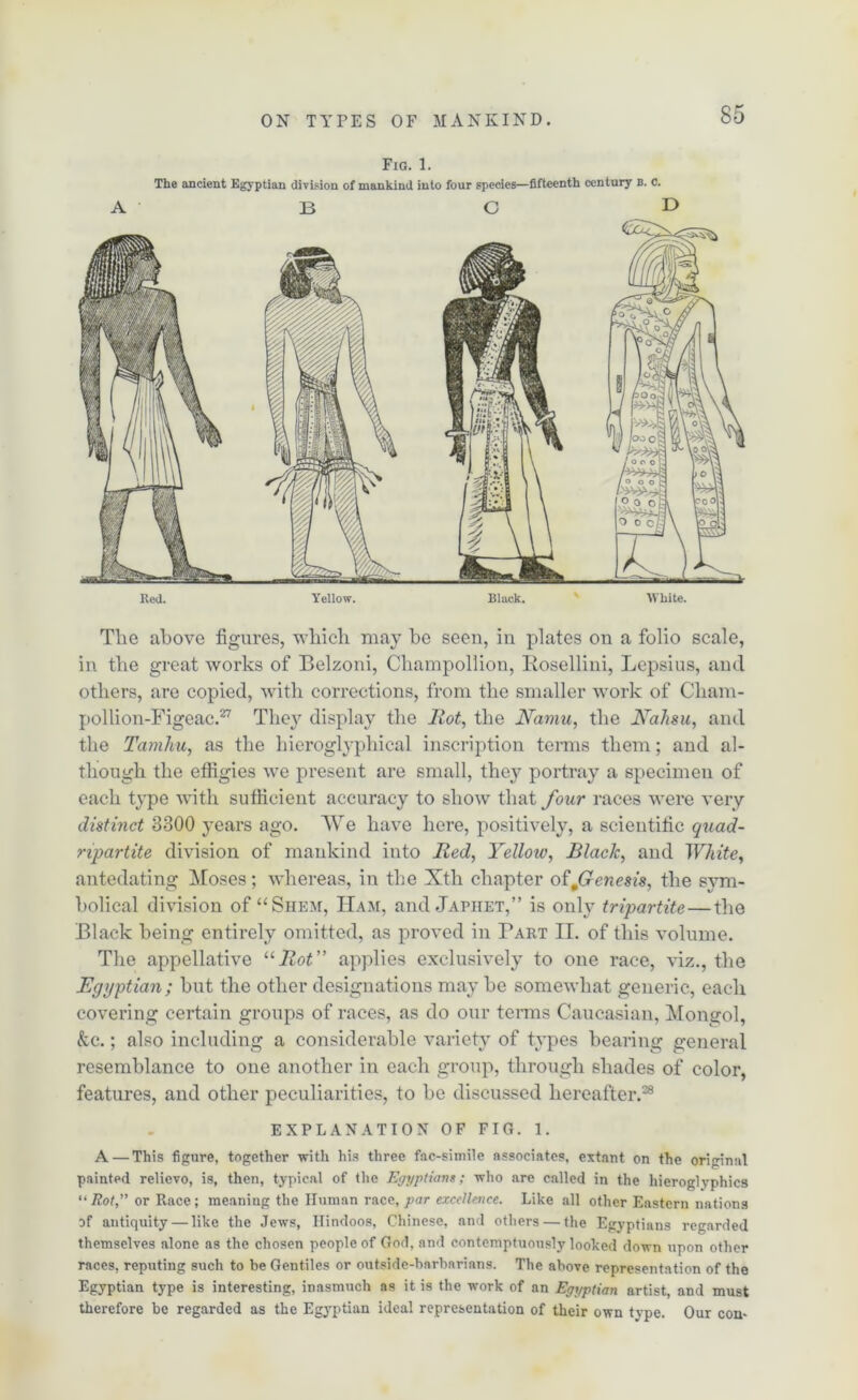 Fig. 1. The ancient Egyptian division of mankind into four species—fifteenth century b. c. Red. Yellow. Black. ■White. The above figures, which may be seen, in plates on a folio scale, in the great works of Belzoni, Champollion, Rosellini, Lepsius, and others, are copied, with corrections, from the smaller work of Charn- pollion-Figeac.27 They display the Hot, the JYaviu, the Nahsu, and the Tamhu, as the hieroglyphical inscription terms them; and al- though the effigies we present are small, they portray a specimen of each type with sufficient accuracy to show that four races were very distinct 3300 years ago. We have here, positively, a scientific quad- ripartite division of mankind into lied, Yellow, Black, and White, antedating Moses; whereas, in the Xth chapter offxcnesis, the sym- bolical division of “Shem, Ham, and Japhet,” is only tripartite—the Black being entirely omitted, as proved in Part II. of this volume. The appellative uBot” applies exclusively to one race, viz., the Egyptian; but the other designations may be somewhat generic, each covering certain groups of races, as do our terms Caucasian, Mongol, &c.; also including a considerable variety of types bearing general resemblance to one another in each group, through shades of color, features, and other peculiarities, to be discussed hereafter.28 EXPLANATION OF FIG. 1. A — This figure, together with his three fac-simile associates, extant on the original painted relievo, is, then, typical of the Egyptians; who are called in the hieroglyphics “ Rot,” or Race; meaning the Human race, par excellence. Like all other Eastern nations of antiquity — like the Jews, Hindoos, Chinese, and others — the Egyptians regarded themselves alone as the chosen people of God, and contemptuously looked down upon other races, reputing such to he Gentiles or outside-barbarians. The above representation of the Egyptian type is interesting, inasmuch as it is the work of an Egyptian artist, and must therefore be regarded as the Egyptian ideal representation of their own tvpe. Our con-