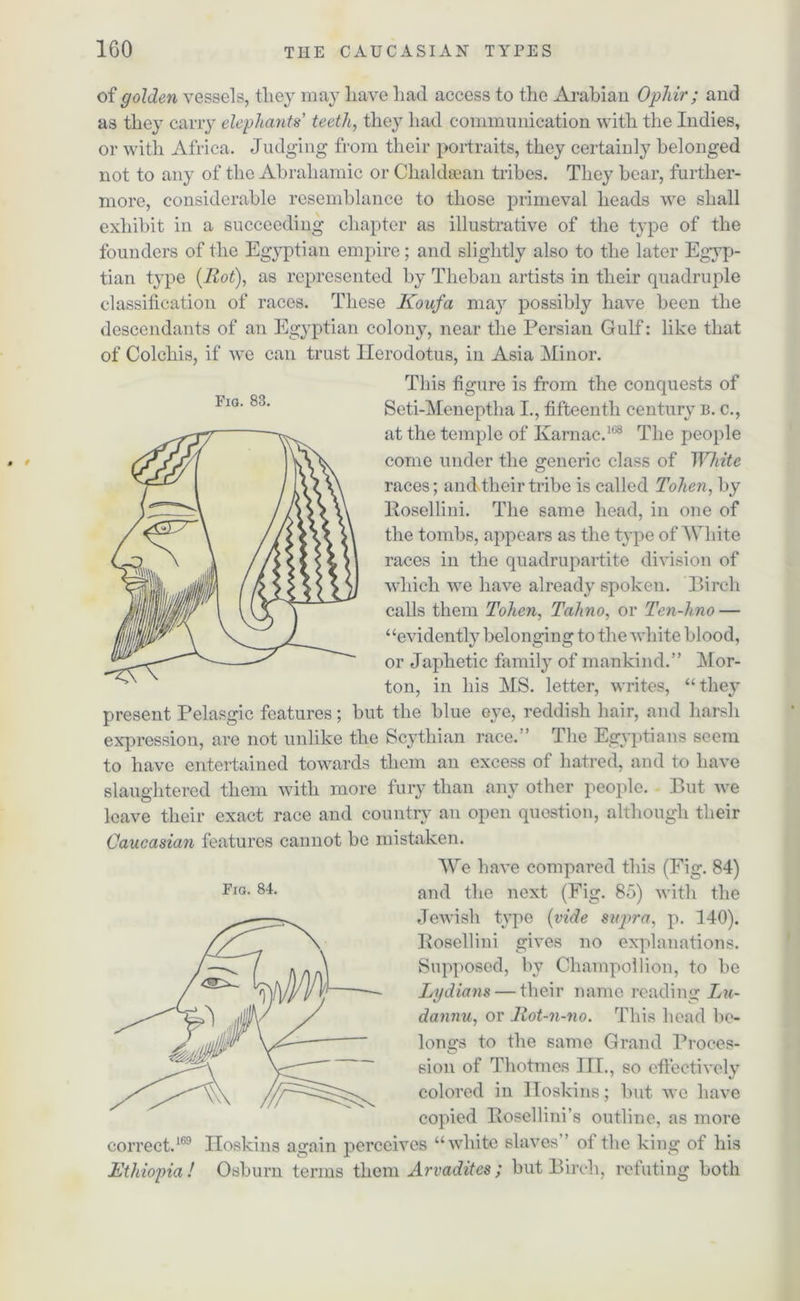 * 9 of golden vessels, they may have had access to the Arabian Ophir ; and as they carry elephants teeth, they had communication with the Indies, oi' with Africa. Judging from their portraits, they certainly belonged not to any of the Abraliamic or Chaldeean tribes. They bear, further- more, considerable resemblance to those primeval heads we shall exhibit in a succeeding chapter as illustrative of the type of the founders of the Egyptian empire; and slightly also to the later Egyp- tian type [Rot), as represented by Theban artists in their quadruple classification of races. These Koufa may possibly have been the descendants of an Egyptian colony, near the Persian Gulf: like that of Colchis, if we can trust Herodotus, in Asia Minor. This figure is from the conquests of Seti-Meneptha I., fifteenth century b. c., at the temple of Ivarnac.168 The people come under the generic class of White races; and their tribe is called Tolien, by llosellini. The same head, in one of the tombs, appears as the type of White races in the quadrupartite division of which we have already spoken. Birch calls them Tohen, Tahno, or Ten-h.no — “evidently belonging to the white blood, or Japhetic family of mankind.” Mor- ton, in his MS. letter, writes, “they present Pelasgic features; but the blue eye, reddish hair, and harsh expression, are not unlike the Scythian race.” The Egyptians seem to have entertained towards them an excess of hatred, and to have slaughtered them with more fury than any other people. But we leave their exact race and country an open question, although their Caucasian features cannot be mistaken. Fxo. 84. We have compared this (Fig. 84) and the next (Fig. 85) with the Jewish type (vide supra, p. 140). Poscllini gives no explanations. Supposed, by Champollion, to be Lydians — their name reading Lu- dannu, or Rot-n-no. This head be- longs to the same Grand Proces- sion of Thotmes III., so effectively colored in Hoskins; but we have copied Bosellini’s outline, as more correct.169 Hoskins again perceives “white slaves” oi the king of his Ethiopia! Osburn terms them Arvadites; but Birch, refuting both