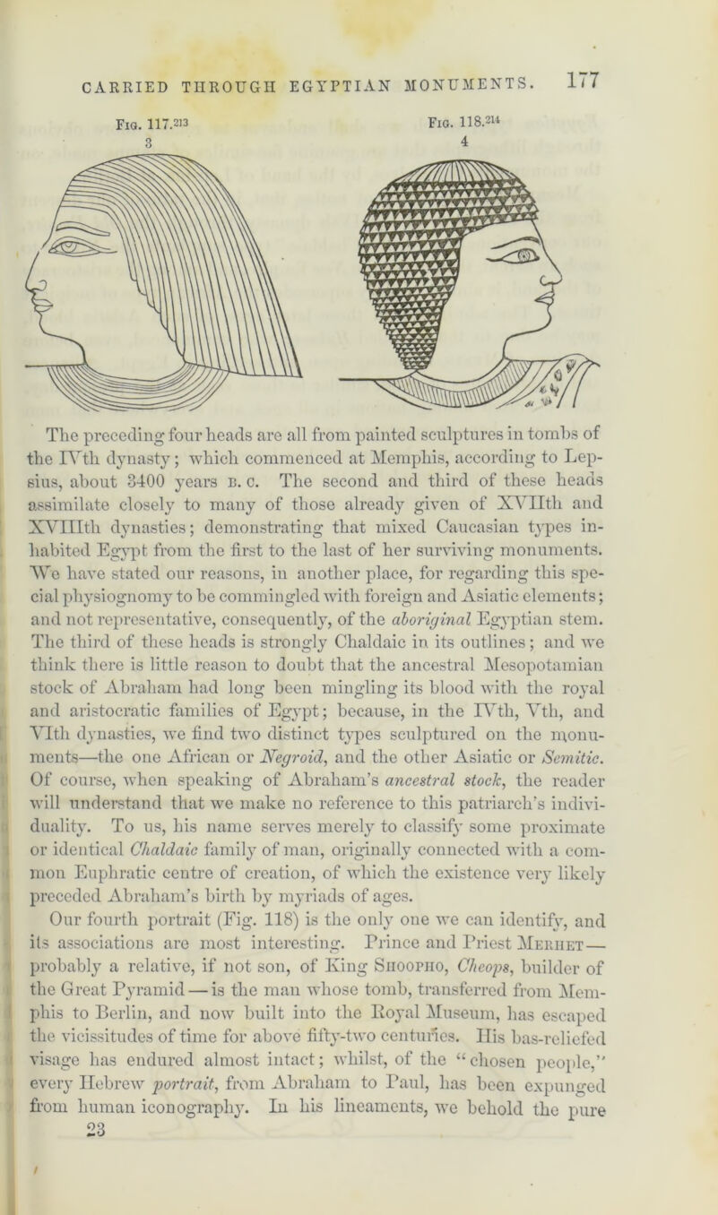 The preceding four heads are all from painted sculptures in tombs of the IYth dynasty; which commenced at Memphis, according to Lep- sius, about 8400 years b. c. The second and third of these heads assimilate closely to many of those already given of XYHth and XVIIIth dynasties; demonstrating that mixed Caucasian types in- habited Egypt from the first to the last of her surviving monuments. We have stated our reasons, in another place, for regarding this spe- cial physiognomy to be commingled with foreign and Asiatic elements; and not representative, consequently, of the aboriginal Egyptian stem. The third of these heads is strongly Chalclaic in. its outlines; and we think there is little reason to doubt that the ancestral Mesopotamian stock of Abraham had long been mingling its blood with the royal and aristocratic families of Egypt; because, in the IYth, Yth, and YIth dynasties, we find two distinct types sculptured on the monu- ments—the one African or Negroid, and the other Asiatic or Semitic. Of course, when speaking of Abraham’s ancestral stock, the reader will understand that we make no reference to this patriarch’s indivi- duality. To us, his name serves merely to classify some proximate or identical Chaldaic family of man, originally connected with a com- mon Euphratic centre of creation, of which the existence very likely preceded Abraham’s birth by myriads of ages. Our fourth portrait (Fig. 118) is the only one we can identify, and its associations are most interesting. Prince and Priest Meriiet — probably a relative, if not son, of King Siioorno, Cheops, builder of the Great Pyramid — is the man whose tomb, transferred from Mem- phis to Berlin, and now built into the Royal Museum, has escaped the vicissitudes of time for above fifty-two centuries. His bas-reliefed visage has endured almost intact; whilst, of the “ chosen people,” every Hebrew portrait, from Abraham to Paul, has been expunged from human iconography. In his lineaments, we behold the pure 23