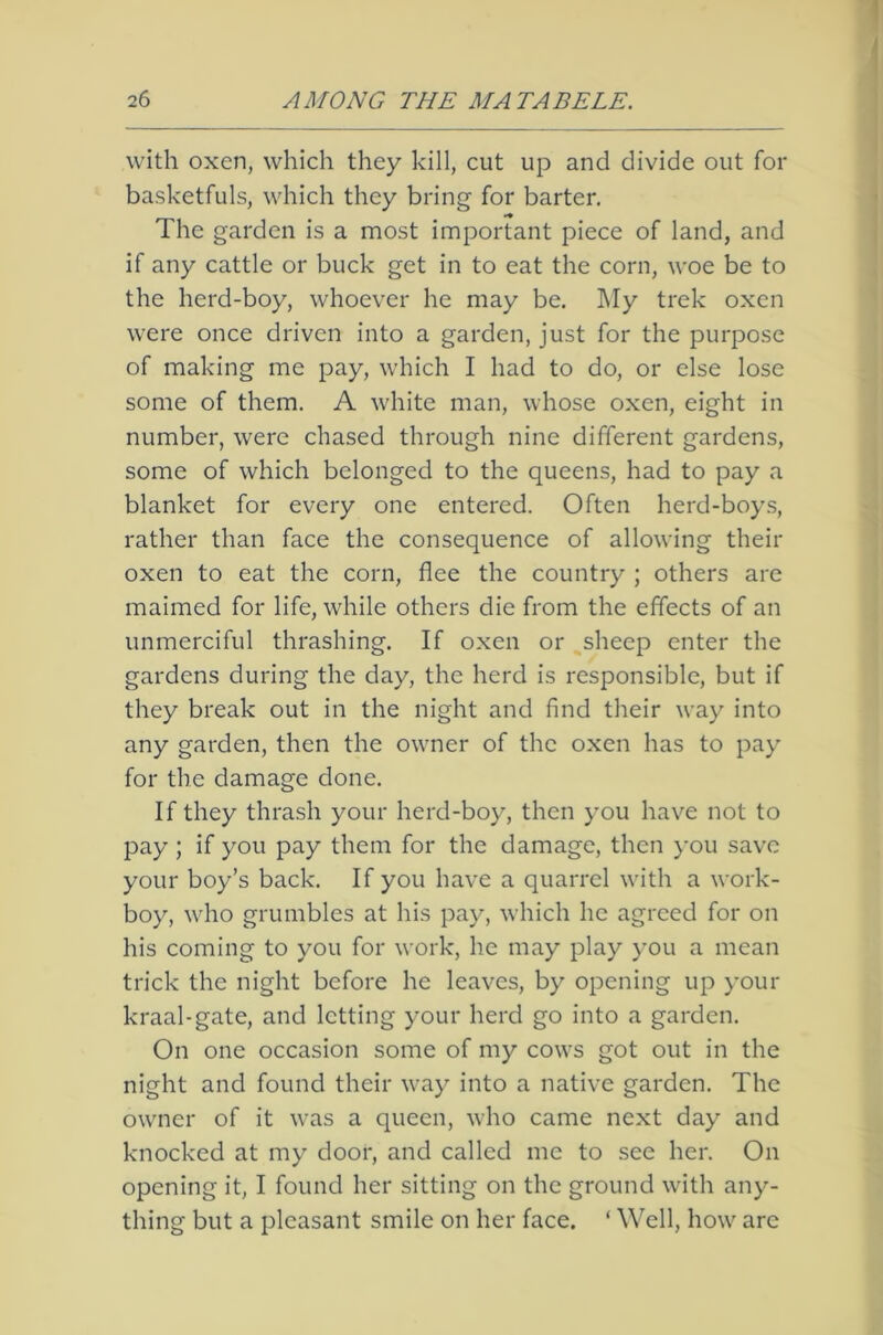 with oxen, which they kill, cut up and divide out for basketfuls, which they bring for barter. The garden is a most important piece of land, and if any cattle or buck get in to eat the corn, woe be to the herd-boy, whoever he may be. My trek oxen were once driven into a garden, just for the purpose of making me pay, which I had to do, or else lose some of them. A white man, whose oxen, eight in number, were chased through nine different gardens, some of which belonged to the queens, had to pay a blanket for every one entered. Often herd-boys, rather than face the consequence of allowing their oxen to eat the corn, flee the country ; others arc maimed for life, while others die from the effects of an unmerciful thrashing. If oxen or sheep enter the gardens during the day, the herd is responsible, but if they break out in the night and find their way into any garden, then the owner of the oxen has to pay for the damage done. If they thrash your herd-boy, then you have not to pay; if you pay them for the damage, then you save your boy’s back. If you have a quarrel with a work- boy, who grumbles at his pay, which he agreed for on his coming to you for work, he may play you a mean trick the night before he leaves, by opening up )'our kraal-gate, and letting your herd go into a garden. On one occasion some of my cows got out in the night and found their way into a native garden. The owner of it was a queen, who came next day and knocked at my door, and called me to see her. On opening it, I found her sitting on the ground with any- thing but a pleasant smile on her face. ‘ Well, how arc