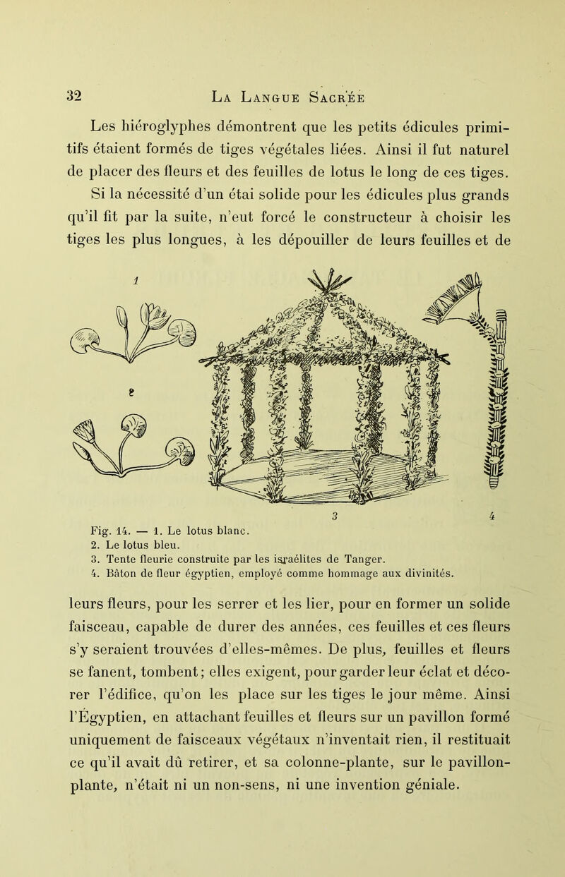 Les hiéroglyphes démontrent que les petits édicules primi- tifs étaient formés de tiges végétales liées. Ainsi il fut naturel de placer des fleurs et des feuilles de lotus le long de ces tiges. Si la nécessité d’un étai solide pour les édicules plus grands qu’il fit par la suite, n’eut forcé le constructeur à choisir les tiges les plus longues, à les dépouiller de leurs feuilles et de Fig. 14. — 1. Le lotus blanc. 2. Le lotus bleu. 3. Tente fleurie construite par les Israélites de Tanger. 4. Bâton de fleur égyptien, employé comme hommage aux divinités. leurs fleurs, pour les serrer et les lier, pour en former un solide faisceau, capable de durer des années, ces feuilles et ces fleurs s’y seraient trouvées d’elles-mêmes. De pluS;, feuilles et fleurs se fanent, tombent; elles exigent, pour garder leur éclat et déco- rer l’édifice, qu’on les place sur les tiges le jour même. Ainsi l’Égyptien, en attachant feuilles et fleurs sur un pavillon formé uniquement de faisceaux végétaux n’inventait rien, il restituait ce qu’il avait dû retirer, et sa colonne-plante, sur le pavillon- plante, n’était ni un non-sens, ni une invention géniale.