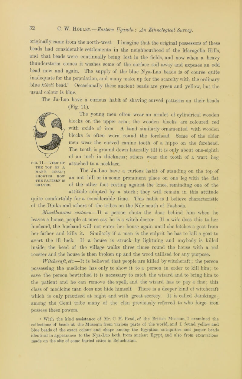 oiiginally came from the north-west. I imagine that the original possessors of these beads had considerable settlements in the neighbour!mod of the Maragolia Hills, and that beads were continually being lost in the fields, and now when a heavy thunderstorm comes it washes some of the surface soil away and exposes an odd bead now and again. The supply of the blue Nya-Luo beads is of course quite inadequate for the population, and many make up for the scarcity with the ordinary blue kiheti bead.1 Occasionally these ancient beads are green and yellow, but the usual colour is blue. The Ja-Luo have a curious habit of shaving curved patterns on their heads (Fig. 11). The young men often wear an armlet of cylindrical wooden blocks on the upper arm; the wooden blocks are coloured red with oxide of iron. A band similarly ornamented with wooden blocks is often worn round the forehead. Some of the older men wear the curved canine tooth of a hippo on the forehead. The tooth is ground down laterally till it is only about one-eighth of an inch in thickness: others wear the tooth of a wart hog attached to a necklace. The Ja-Luo have a curious habit of standing on the top of an ant hill or in some prominent place on one leg with the flat of the other foot resting against the knee, reminding one of the attitude adopted by a stork ; they will remain in this attitude quite comfortably for a considerable time. This habit is I believe characteristic of the Dinka and others of the tribes on the Nile south of Fashoda. Miscellaneous customs.—If a person shuts the door behind him when he leaves a house, people at once say he is a witch doctor. If a wife does this to her husband, the husband will not enter her house again until she fetches a goat from her father and kills it. Similarly if a man is the culprit he has to kill a goat to avert the ill luck. If a house is struck by lightning and anybody is killed inside, the head of the village walks three times round the house with a red looster and the house is then broken up and the wood utilized for any purpose. Witchcraft, etc.—It is believed that people are killed by witchcraft; the person possessing the medicine has only to show it to a person in order to kill him; to save the person bewitched it is necessary to catch the wizard and to bring him to the patient and he can remove the spell, and the wizard has to pay a fine; this class of medicine man does not hide himself. There is a deeper kind of witchcraft which is only practised at night and with great secrecy. It is called Jamkingo • among the Genii tribe many of the clan previously referred to who forge iron possess these powers. 1 With the kind assistance of Mr. C. H. Read, of the British Museum, I examined the collections of beads at the Museum from various parts of the world, and 1 found yellow and blue beads of the exact colour and shape among the Egyptian antiquities and jasper beads identical in appearance to the Nya-Luo both from ancient Egypt, and also from excavations made on the site of some buried cities in Beluchistan, fig. 11.—VIEW OF THE TOP OF A man’s head ; SHOWING HOW THE PATTERN IS SHAVED.