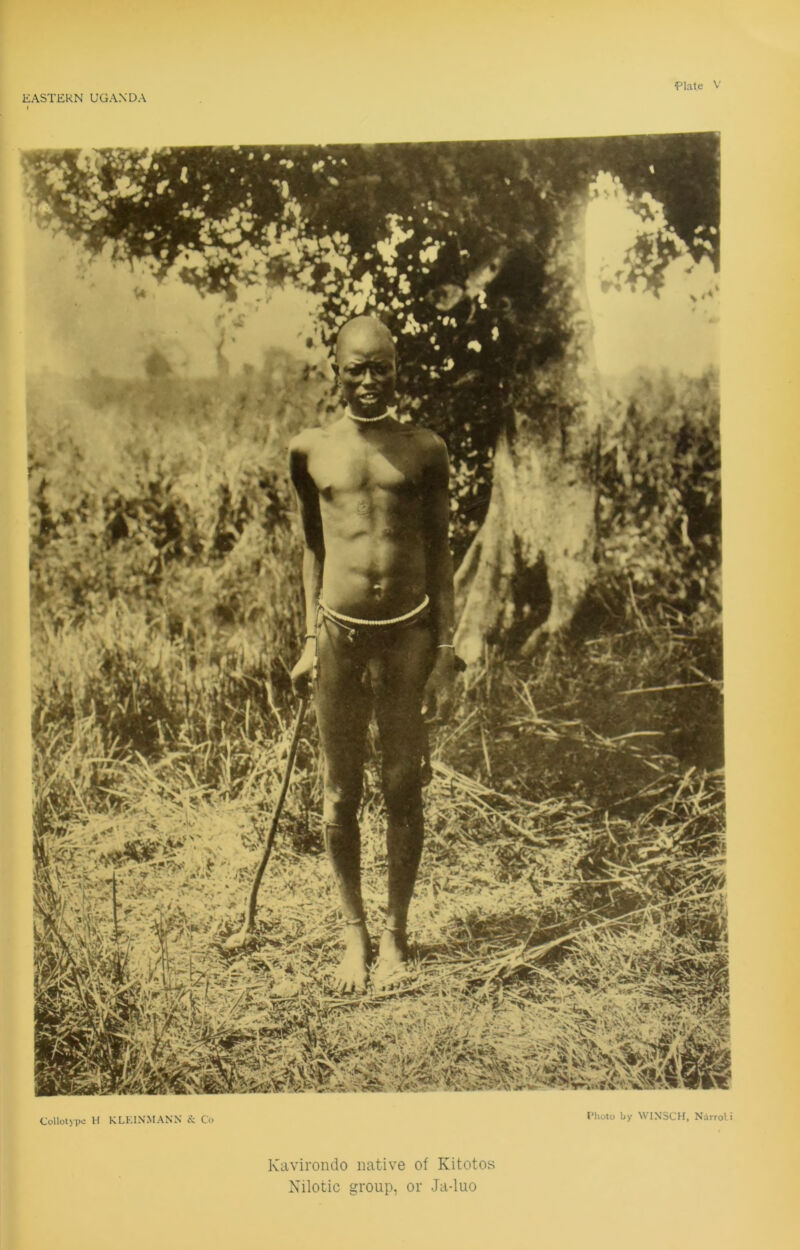 V -*V .4, ? f rS$L* hi..' -1:. * v5i Collotype H KLEINMANN & Co Photo by WINSCH, Narroli Kavirondo native of Kitotos Nilotic group, or Ja-luo