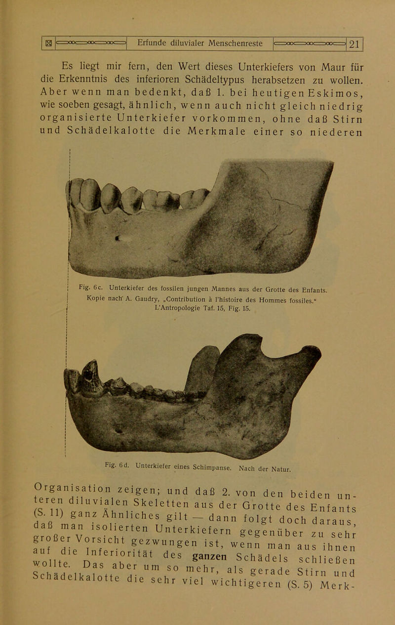 Es liegt mir fern, den Wert dieses Unterkiefers von Maur für die Erkenntnis des inferioren Schädeltypus herabsetzen zu wollen. Aber wenn man bedenkt, daß 1. bei heutigenEskimos, wie soeben gesagt, ähnlich, wenn auch nicht gleich niedrig organisierte Unterkiefer Vorkommen, ohne daß Stirn und Schädelkalotte die Merkmale einer so niederen Fig. 6 d. Unterkiefer eines Schimpanse. Nach der Natur. Fig. 6 c. Kopie Unterkiefer des fossilen jungen Mannes aus der Grotte des Enfants. nach' A. Gaudry, „Contribution ä l’histoire des Hommes fossiles.“ L’Antropologie Taf. 15, Fig. 15. Organisation zeigen; und daß 2. von den beiden un- eren diluvialen Skeletten aus der Grotte des Enfants (S. 11) ganz Ähnliches gilt — dann folgt doch daraus daß man isolierten Unterkiefern gegenüber zu seh^ S’Mv.v.7.:;