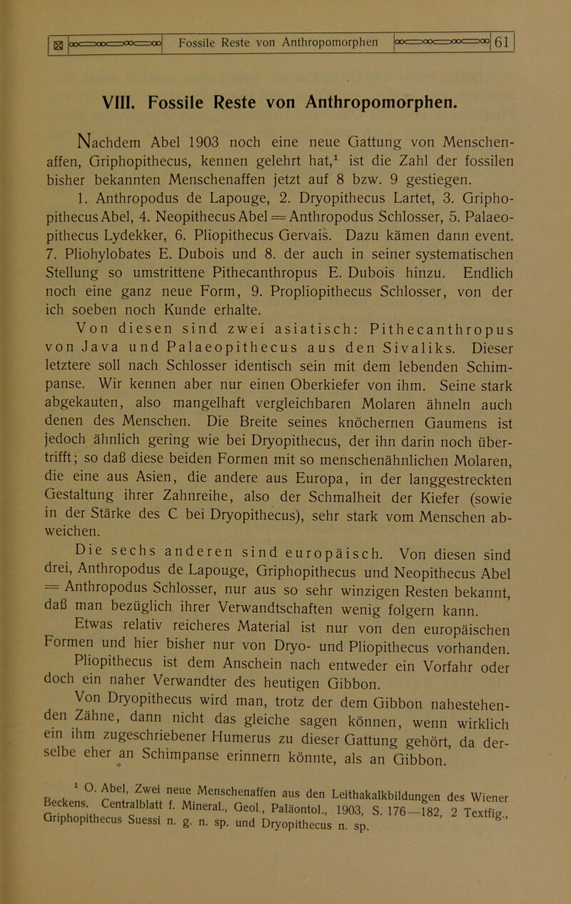 VIII. Fossile Reste von Anthropomorphen. Nachdem Abel 1903 noch eine neue Gattung von Menschen- affen, Griphopithecus, kennen gelehrt hat,1 ist die Zahl der fossilen bisher bekannten Menschenaffen jetzt auf 8 bzw. 9 gestiegen. 1. Anthropodus de Lapouge, 2. Dryopithecus Lartet, 3. Gripho- pithecus Abel, 4. Neopithecus Abel = Anthropodus Schlosser, 5. Palaeo- pithecus Lydekker, 6. Pliopithecus Gervais. Dazu kämen dann event. 7. Pliohylobates E. Dubois und 8. der auch in seiner systematischen Stellung so umstrittene Pithecanthropus E. Dubois hinzu. Endlich noch eine ganz neue Form, 9. Propliopithecus Schlosser, von der ich soeben noch Kunde erhalte. Von diesen sind zwei asiatisch: Pithecanthropus von Java und Palaeopithecus aus den Sivaliks. Dieser letztere soll nach Schlosser identisch sein mit dem lebenden Schim- panse. Wir kennen aber nur einen Oberkiefer von ihm. Seine stark abgekauten, also mangelhaft vergleichbaren Molaren ähneln auch denen des Menschen. Die Breite seines knöchernen Gaumens ist jedoch ähnlich gering wie bei Dryopithecus, der ihn darin noch über- trifft; so daß diese beiden Formen mit so menschenähnlichen Molaren, die eine aus Asien, die andere aus Europa, in der langgestreckten Gestaltung ihrer Zahnreihe, also der Schmalheit der Kiefer (sowie in der Stärke des C bei Dryopithecus), sehr stark vom Menschen ab- weichen. Die sechs anderen sind europäisch. Von diesen sind drei, Anthropodus de Lapouge, Griphopithecus und Neopithecus Abel = Anthropodus Schlosser, nur aus so sehr winzigen Resten bekannt, daß man bezüglich ihrer Verwandtschaften wenig folgern kann. Etwas relativ reicheres Material ist nur von den europäischen Formen und hier bisher nur von Dryo- und Pliopithecus vorhanden. Pliopithecus ist dem Anschein nach entweder ein Vorfahr oder doch ein naher Verwandter des heutigen Gibbon. Von Dryopithecus wird man, trotz der dem Gibbon nahestehen- den Zahne, dann nicht das gleiche sagen können, wenn wirklich ein ihm zugeschriebener Humerus zu dieser Gattung gehört, da der- selbe eher an Schimpanse erinnern könnte, als an Gibbon.' O. Abe , Zwei neue Menschenaffen aus den Leithakalkbildungen Beckens. Centralblatt f. Mineral., Geol., Paläontol., 1903, S 176—182 Griphopithecus Suessi n. g. n. sp. und Dryopithecus n. sp. des Wiener