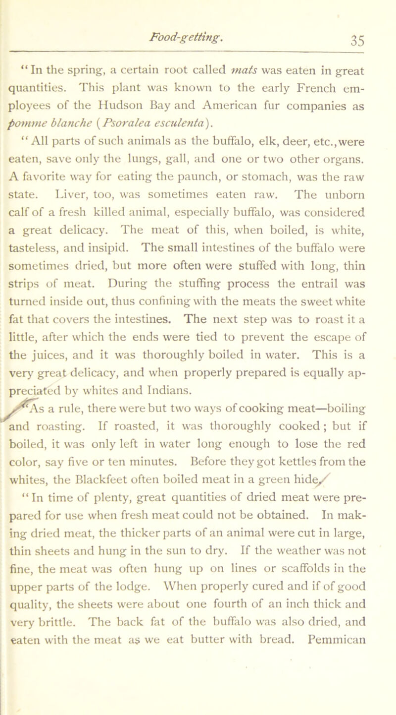 “ In the spring, a certain root called mats was eaten in great quantities. This plant was known to the early French em- ployees of the Hudson Bay and American fur companies as pomvie blanche {Psoralea esculenta'). “All parts of such animals as the buffalo, elk, deer, etc., were eaten, save only the lungs, gall, and one or two other organs. A favorite way for eating the paunch, or stomach, was the raw state. Liver, too, was sometimes eaten raw. The unborn calf of a fresh killed animal, especially buffalo, was considered a great delicacy. The meat of this, when boiled, is white, tasteless, and insipid. The small intestines of the buffalo were sometimes dried, but more often were stuffed with long, thin strips of meat. During the stuffing process the entrail was turned inside out, thus confining with the meats the sweet white fat that covers the intestines. The ne.\t step was to roast it a little, after which the ends were tied to prevent the escape of the juices, and it was thoroughly boiled in water. This is a ver>' great delicacy, and when properly prepared is equally ap- preciated by whites and Indians. /^s a rule, there were but two ways of cooking meat—boiling and roasting. If roasted, it was thoroughly cooked ; but if boiled, it was only left in water long enough to lose the red color, say five or ten minutes. Before they got kettles from the whites, the Blackfeet often boiled meat in a green hide/^ “ In time of plenty, great quantities of dried meat were pre- pared for use when fresh meat could not be obtained. In mak- ing dried meat, the thicker parts of an animal were cut in large, thin sheets and hung in the sun to dry. If the weather was not fine, the meat was often hung up on lines or scaffolds in the upper parts of the lodge. When properly cured and if of good quality, the sheets were about one fourth of an inch thick and very brittle. The back fat of the buffalo was also dried, and eaten with the meat as we eat butter with bread. Pemmican