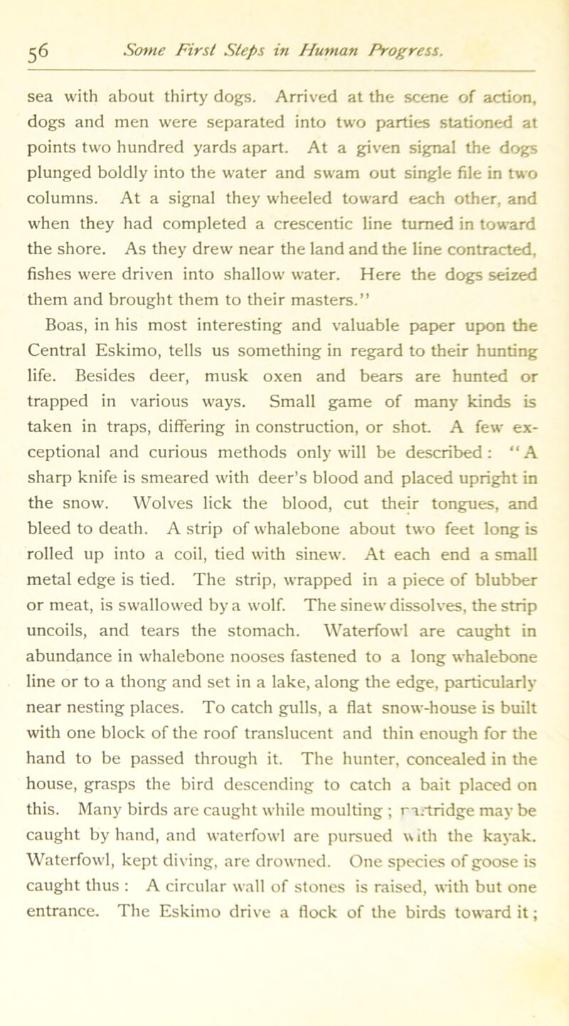 sea with about thirty dogs. Arrived at the scene of action, dogs and men were separated into two parties stationed at points two hundred yards apart. At a given signal the dogs plunged boldly into the water and swam out single file in two columns. At a signal they wheeled toward each other, and when they had completed a crescentic line turned in toward the shore. As they drew near the land and the line contracted, fishes were driven into shallow water. Here the dogs seized them and brought them to their masters.” Boas, in his most interesting and valuable paper upon the Central Eskimo, tells us something in regard to their hunting life. Besides deer, musk oxen and bears are hunted or trapped in various ways. Small game of many kinds is taken in traps, differing in construction, or shot. A few ex- ceptional and curious methods only will be described: “A sharp knife is smeared with deer’s blood and placed upright in the snow. Wolves lick the blood, cut their tongues, and bleed to death. A strip of whalebone about two feet long is rolled up into a coil, tied with sinew. At each end a small metal edge is tied. The strip, wrapped in a piece of blubber or meat, is swallowed by a wolf. The sinew dissolves, the strip uncoils, and tears the stomach. Waterfowl are caught in abundance in whalebone nooses fastened to a long whalebone line or to a thong and set in a lake, along the edge, particularly near nesting places. To catch gulls, a flat snow-house is built with one block of the roof translucent and thin enough for the hand to be passed through it. The hunter, concealed in the house, grasps the bird descending to catch a bait placed on this. Many birds are caught while moulting ; ra;tridge may be caught by hand, and waterfowl are pursued w ith the kayak. Waterfowl, kept diving, are drowned. One species of goose is caught thus : A circular wall of stones is raised, with but one entrance. The Eskimo drive a flock of the birds toward it;
