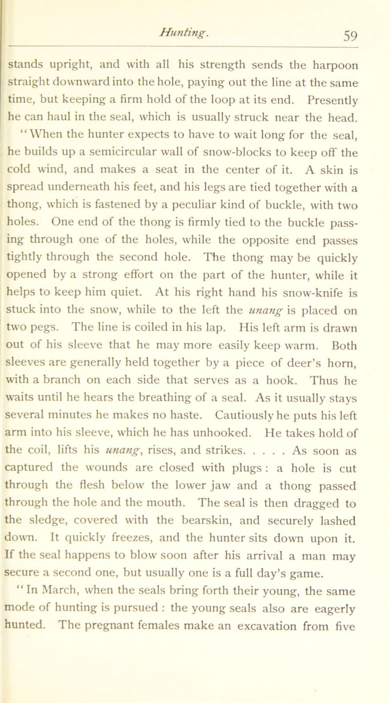 stands upright, and with all his strength sends the harpoon straight downward into the hole, paying out the line at the same time, but keeping a firm hold of the loop at its end. Presently he can haul in the seal, which is usually struck near the head. “When the hunter expects to have to wait long for the seal, he builds up a semicircular wall of snow-blocks to keep off the cold wind, and makes a seat in the center of it. A skin is spread underneath his feet, and his legs are tied together with a thong, which is fastened by a peculiar kind of buckle, with two holes. One end of the thong is firmly tied to the buckle pass- ing through one of the holes, while the opposite end passes tightly through the second hole. The thong may be quickly opened by a strong effort on the part of the hunter, while it helps to keep him quiet. At his right hand his snow-knife is stuck into the snow, while to the left the unang is placed on two pegs. The line is coiled in his lap. His left arm is drawn out of his sleeve that he may more easily keep warm. Both sleeves are generally held together by a piece of deer’s horn, with a branch on each side that serves as a hook. Thus he waits until he hears the breathing of a seal. As it usually stays several minutes he makes no haste. Cautiously he puts his left arm into his sleeve, which he has unhooked. He takes hold of the coil, lifts his unang, rises, and strikes As soon as captured the wounds are closed with plugs : a hole is cut through the flesh below the lower jaw and a thong passed through the hole and the mouth. The seal is then dragged to the sledge, covered with the bearskin, and securely lashed down. It quickly freezes, and the hunter sits down upon it. If the seal happens to blow soon after his arrival a man may secure a second one, but usually one is a full day’s game. “ In March, when the seals bring forth their young, the same mode of hunting is pursued : the young seals also are eagerly hunted. The pregnant females make an excavation from five