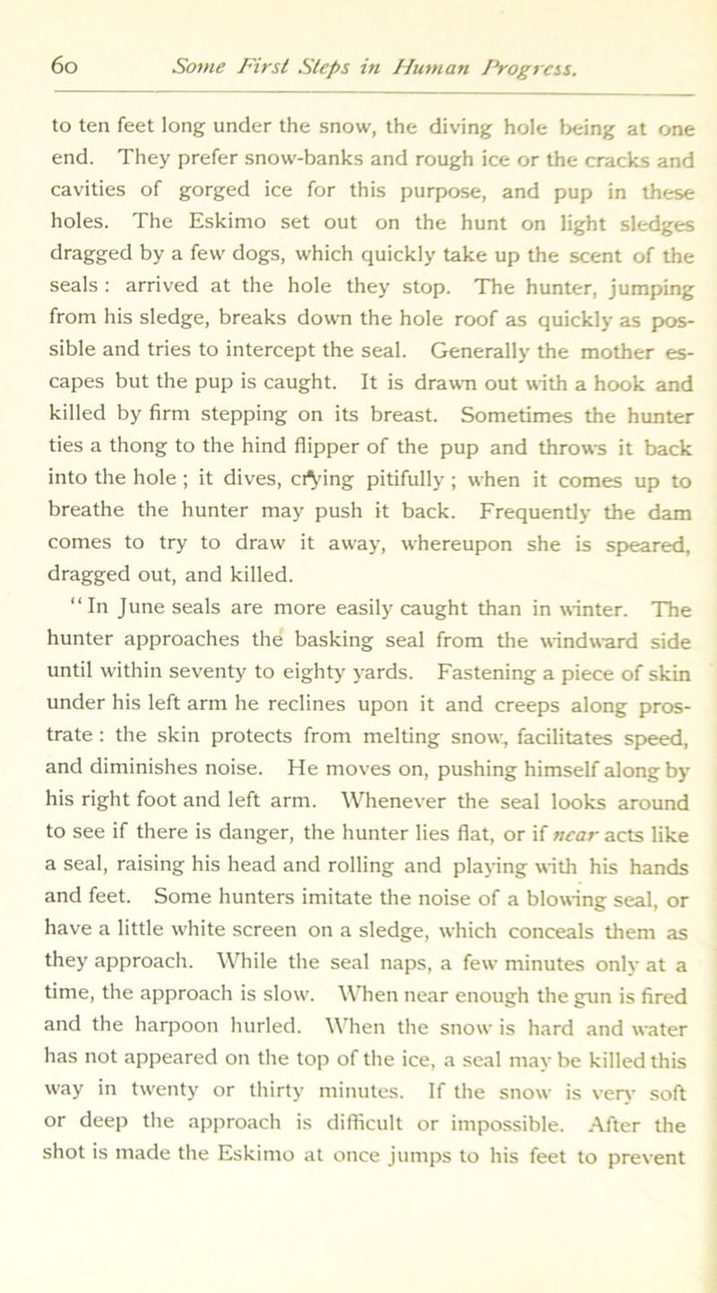 to ten feet long under the snow, the diving hole being at one end. They prefer snow-banks and rough ice or the cracks and cavities of gorged ice for this purpose, and pup in these holes. The Eskimo set out on the hunt on light sledges dragged by a few dogs, which quickly take up the scent of the seals : arrived at the hole they stop. The hunter, jumping from his sledge, breaks down the hole roof as quickly as pos- sible and tries to intercept the seal. Generally the mother es- capes but the pup is caught. It is drawn out with a hook and killed by firm stepping on its breast. Sometimes the hunter ties a thong to the hind flipper of the pup and throws it back into the hole; it dives, ci^'ing pitifully; when it comes up to breathe the hunter may push it back. Frequently the dam comes to try to draw it away, whereupon she is sp>eared, dragged out, and killed. “In June seals are more easily caught than in winter. The hunter approaches the basking seal from the windward side until within seventy to eighty yards. Fastening a piece of skin under his left arm he reclines upon it and creeps along pros- trate : the skin protects from melting snow., facilitates speed, and diminishes noise. He moves on, pushing himself along by his right foot and left arm. Whenever the seal looks around to see if there is danger, the hunter lies flat, or if near acts like a seal, raising his head and rolling and plaHng with his hands and feet. Some hunters imitate the noise of a blowing seal, or have a little w'hite screen on a sledge, which conceals them as they approach. While the seal naps, a few minutes only at a time, the approach is slow'. When near enough the gun is fired and the harpoon hurled. When the snow is hard and water has not appeared on the top of the ice, a seal may be killed this way in tw'enty or thirty minutes. If the snow is ver>- soft or deep the approach is difficult or impossible. After the shot is made the Eskimo at once jumps to his feet to prevent
