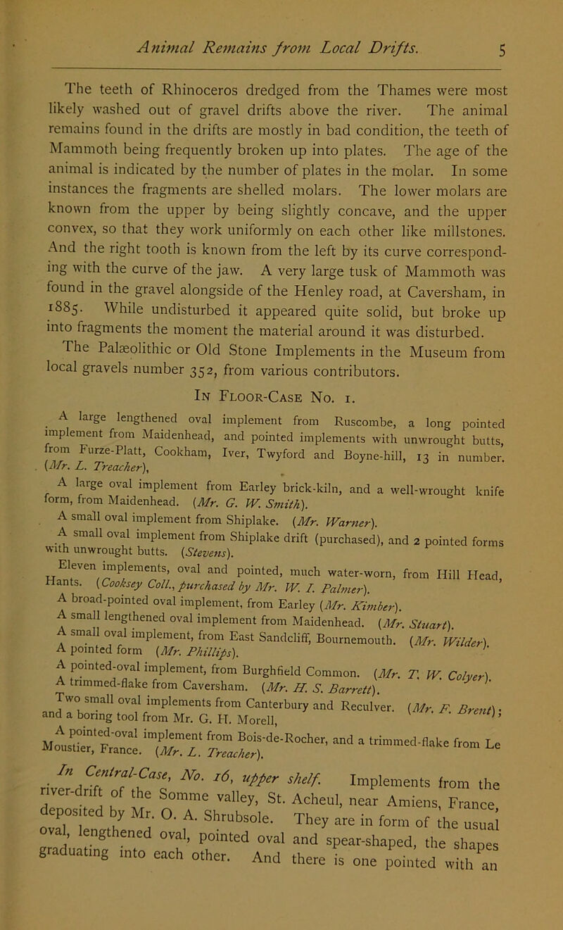 The teeth of Rhinoceros dredged from the Thames were most likely washed out of gravel drifts above the river. The animal remains found in the drifts are mostly in bad condition, the teeth of Mammoth being frequently broken up into plates. The age of the animal is indicated by the number of plates in the molar. In some instances the fragments are shelled molars. The lower molars are known from the upper by being slightly concave, and the upper convex, so that they work uniformly on each other like millstones. And the right tooth is known from the left by its curve correspond- ing with the curve of the jaw. A very large tusk of Mammoth was found in the gravel alongside of the Henley road, at Caversham, in 1S85. While undisturbed it appeared quite solid, but broke up into fragments the moment the material around it was disturbed. The Palaeolithic or Old Stone Implements in the Museum from local gravels number 352, from various contributors. In Ploor-Case No. i. A large lengthened oval implement from Ruscombe, a long pointed implement from Maidenhead, and pointed implements with unwrought butts from FWPlatt, Cookham, Iver, Twyford and Boyne-hill, 13 in number. (Mr. L. Treacher), A large oval implement from Earley brick-kiln, and a well-wrought knife form, from Maidenhead. {Mr. G. W. Smith). A small oval implement from Shiplake. {Mr. Warner). A small oval implement from Shiplake drift (purchased), and 2 pointed forms with unwrought butts. {Stevens). Eleven implements, oval and pointed, much water-worn, from Hill Head riants. {Cooksey Coll., purchased by Mr. W. I. Palmer). A broad-pointed oval implement, from Earley {Mr. Kimber). A small lengthened oval implement from Maidenhead. {Mr. Stuart) A small oval implement, from East SandclifF, Bournemouth. {Mr Wilder1 A pointed form (Mr. Phillips). A pointed-oval implement, from Burghfield Common. (Mr. A trimmed-flake from Caversham. (Mr. II. S. Barrett). Two small oval implements from Canterbury and Reculver and a boring tool from Mr. G. IT. Morell m !z*T-Rxha-m <*■» ^ N°' *6’ Upper Shdf IraP'™«ts from the river-dnft of the Somme valley, St. Achetil, near Amiens, France post e y Mr. O. A. Shrubsole. They are in form of the usual oval lengthened oval, pointed oval and spear-shaped, the shapes graduating tnto each other. And there Is one potnted w!t7an T. W. Colyer). (Mr. F. Brent)\