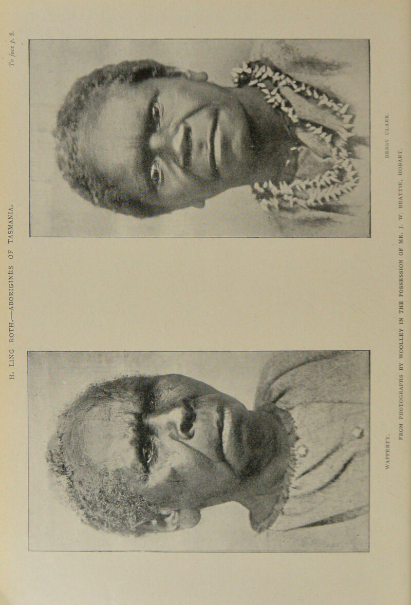 H. LING ROTH.—ABORIGINES OF TASMANIA. To face p. 0. FROM PHOTOGRAPHS BY WOOLLEY IN TIIU POSSESSION OK MR. J \V BKATTIK, HOBART