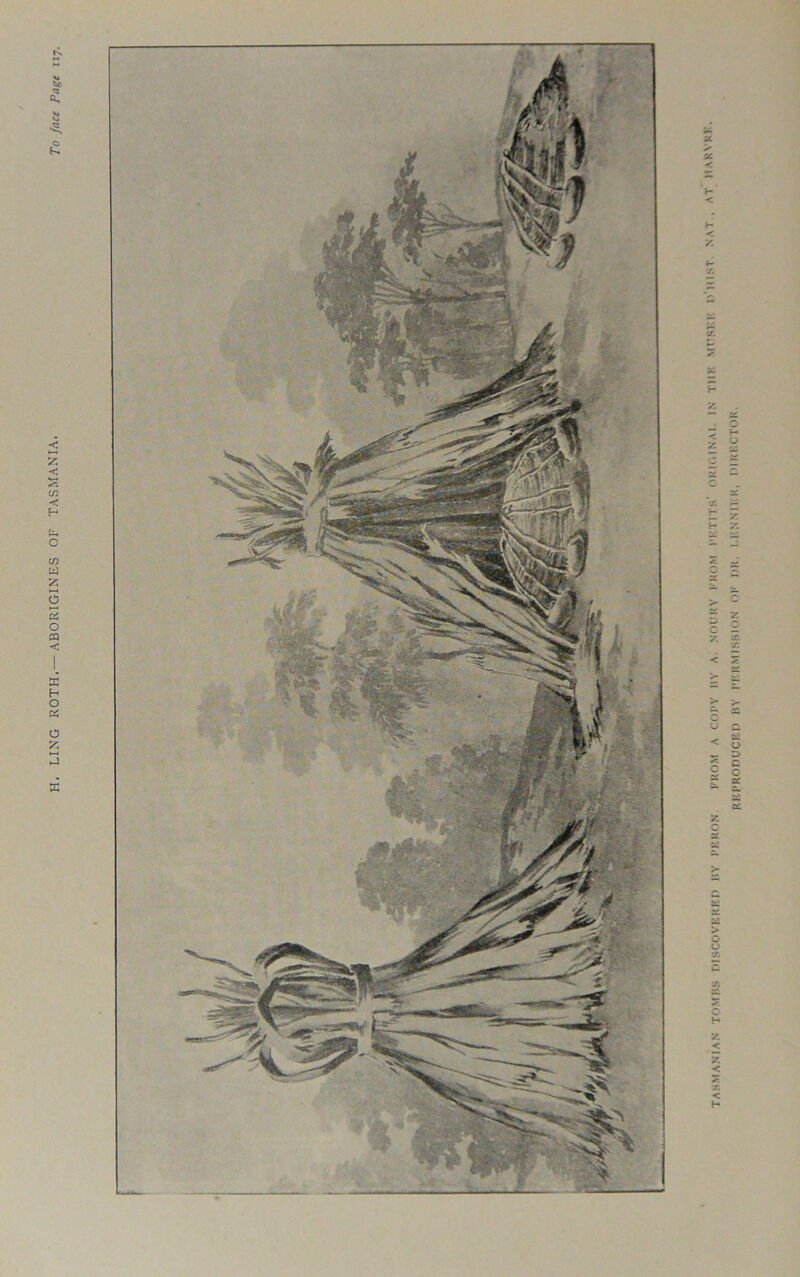 LING ROTH.—ABORIGINES OF TASMANIA. To face Page 117. TASMANIAN TOMBS DISCOVERED BY PERON. FROM A COPY BY