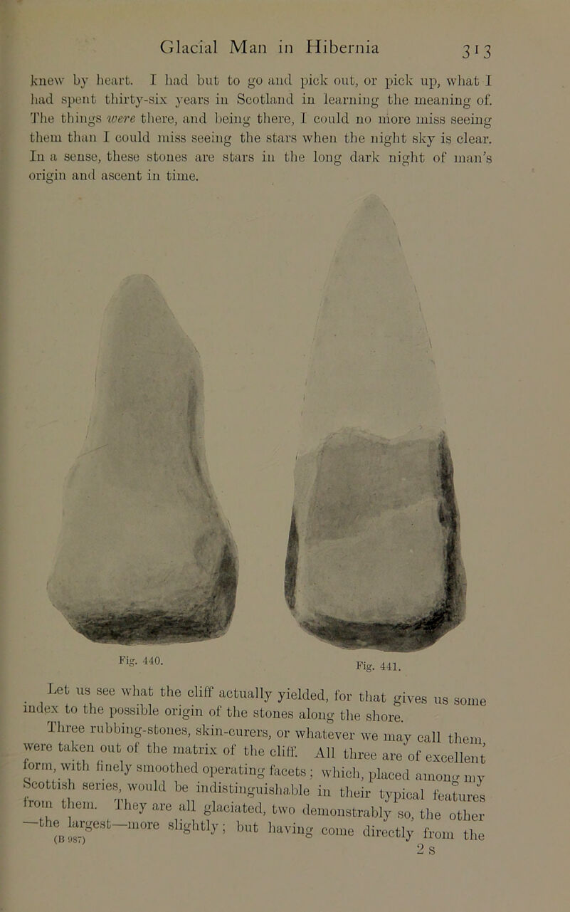3^3 knew by lieart. I had but to go and pick out, or pick up, what I laid spent thirty-six years in Scotland in learning the meaning of. 1'he things were there, and l)eing there, I could no iiiore miss seeing them tlian 1 could miss seeing the stars when the night sky is clear. In a sense, these stones are stars in tlie long dark night of man’s origin and ascent in time. 1 - \ ^ Let us see what the cliff actually yielded, for that gives us some index to the possible origin of the stones along tlie shore. Three rubbing-stones, skin-curers, or whatever we may call them were taken out of the matrix of the cliff. All three are of excellent orin with htiely smoothed operating facets; which, placed amon<r u,y ScottLsh series, would be indistinguishable in their typical features ironi them. They are all glaciated, two demonstrably'so, the oZ -thejargest-more slightly; but having come directly from the