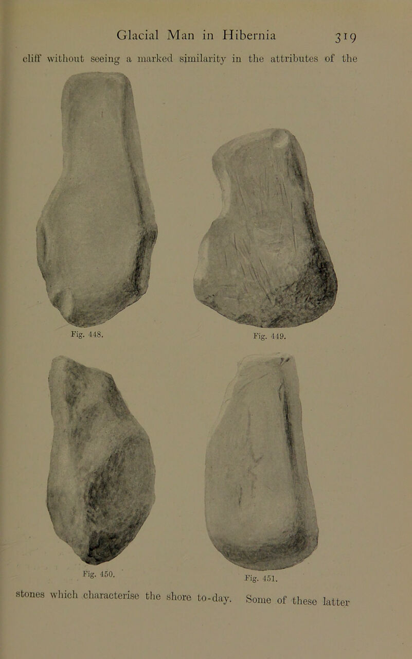 cliff without seeing a marked similarity in the attributes of the Fig. 450. Fig. 451. stones which characterise tlie shore to-day. Some of these latter