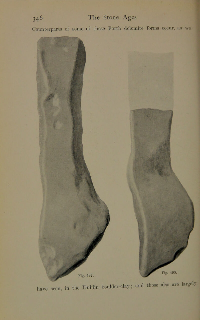 Counterparts of some of these Forth dolomite forms occur, as wq seen, in the Dublin boulder-clay; and those also are largel)