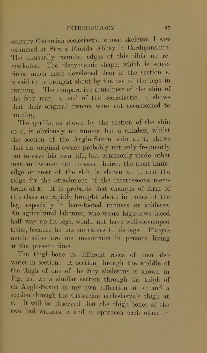 century Cistercian ecclesiastic, whose skeleton 1 saw exhumed at Strata Florida Abbey in Cardiganshire. The unusually rounded edges of this tibia are re- markable. The platycnemic shape, which is some- times much more developed than in the section b, is said to be brought about by the use of the legs in running. The comparative roundness of the shin of the Spy man, a, and of the ecclesiastic, D, shows that their original owners were not accustomed to running. The gorilla, as shown by the section of the shin at c, is obviously no runner, but a climber, whilst the section of the Anglo-Saxon shin at b, shows that the original owner probably not only frequently ran to save his own life, but commonly made other men and women run to save theirs; the front knife- edge or crest of the shin is shown at E, and the ridge for the attachment of the interosseous mem- brane at f. It is probable that changes of form of this class are rapidly brought about in bones of the leg, especially in bare-footed runners or athletes. An agricultural labourer, who wears higli-lows laced half way up his legs, would not have well-developed tibise, because he has no calves to his legs. Platyc- nemic shins are not uncommon in persons living at the present time. The thigh-bone in different races of men also varies in section. A section through the middle of the thigh of one of the Spy skeletons is shown in Fig. 21, a ; a similar section through the thigh of an Anglo-Saxon in my own collection at b ; and a section through the Cistercian ecclesiastic’s thigh at c. It will be observed that the thigh-bones of the two bad walkers, a and c, approach each other in