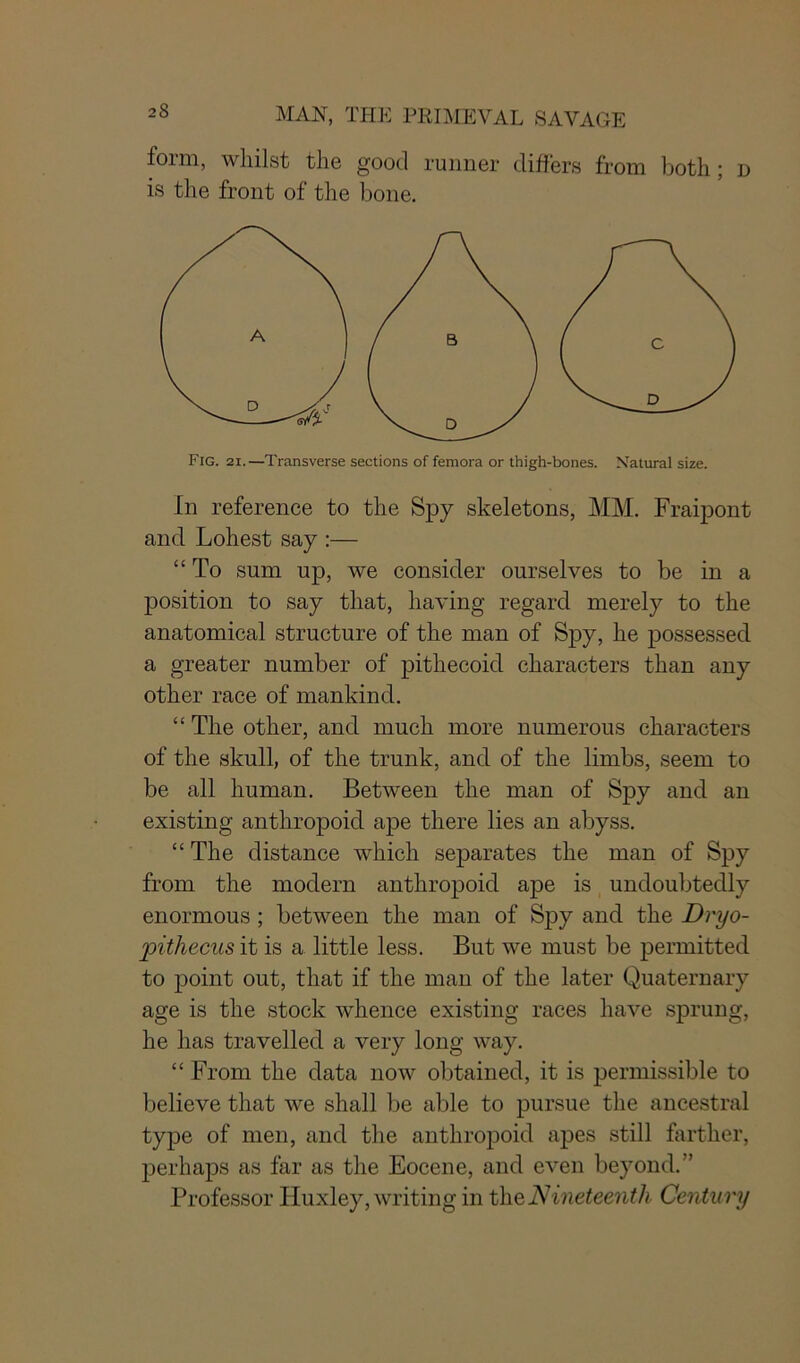form, whilst the good runner differs from both ; d is the front of the bone. Fig. 21.—Transverse sections of femora or thigh-bones. Natural size. In reference to the Spy skeletons, MM. Fraipont and Lohest say :— “ To sum up, we consider ourselves to be in a position to say that, having regard merely to the anatomical structure of the man of Spy, he possessed a greater number of pithecoid characters than any other race of mankind. “ The other, and much more numerous characters of the skull, of the trunk, and of the limbs, seem to be all human. Between the man of Spy and an existing anthropoid ape there lies an abyss. “ The distance which separates the man of Spy from the modern anthropoid ape is undoubtedly enormous ; between the man of Spy and the Dryo- pithecus it is a little less. But we must be permitted to point out, that if the man of the later Quaternary age is the stock whence existing races have sprung, he has travelled a very long way. “ From the data now obtained, it is permissible to believe that we shall be able to pursue the ancestral type of men, and the anthropoid apes still farther, perhaps as far as the Eocene, and even beyond.” Professor Huxley, writing in the Nineteenth Century