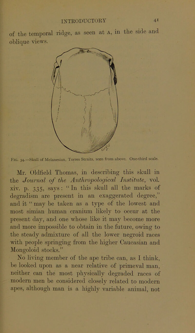 of the temporal ridge, as seen at a, in the side and oblique views. Fig. 34.—Skull of Melanesian. Torres Straits, seen from above. One-third scale. Mr. Oldfield Thomas, in describing this skull in the Journal of the Anthropological Institute, vol. xiv. p. 335, says: “In this skull all the marks of degradism are present in an exaggerated degree,” and it “ may be taken as a type of the lowest and most simian human cranium likely to occur at the present day, and one whose like it may become more and more impossible to obtain in the future, owing to the steady admixture of all the lower negroid races with people springing from the higher Caucasian and Mongoloid stocks.” No living member of the ape tribe can, as I think, be looked upon as a near relative of primeval man, neither can the most physically degraded races of modern men be considered closely related to modern apes, although man is a highly variable animal, not