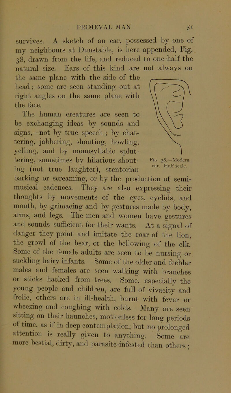 survives. A sketch of an ear, possessed by one of my neighbours at Dunstable, is here appended, Fig. 38, drawn from the life, and reduced to one-half the natural size. Ears of this kind are not always on the same plane with the side of the head; some are seen standing out at right angles on the same plane with the face. The human creatures are seen to be exchanging ideas by sounds and signs,—not by true speech ; by chat- tering, jabbering, shouting, howling, yelling, and by monosyllabic splut- tering, sometimes by hilarious shout- FlG- 38.— Modem / , , -1 i . \ . , . ear. Half scale. mg (not true laughter), stentorian barking or screaming, or by the production of semi- musical cadences. They are also expressing their thoughts by movements of the eyes, eyelids, and mouth, by grimacing and by gestures made by body, arms, and legs. The men and women have gestures and sounds sufficient for their wants. At a signal of danger they point and imitate the roar of the lion, the growl of the bear, or the bellowing of the elk. Some of the female adults are seen to be nursing or suckling hairy infants. Some of the older and feebler males and females are seen walking with branches or sticks hacked from trees. Some, especially the young people and children, are full of vivacity and frolic, others are in ill-health, burnt with fever or wheezing and coughing with colds. Many are seen sitting on their haunches, motionless for long periods of time, as if in deep contemplation, but no prolonged attention . is really given to anything. Some are more bestial, dirty, and parasite-infested than others ;