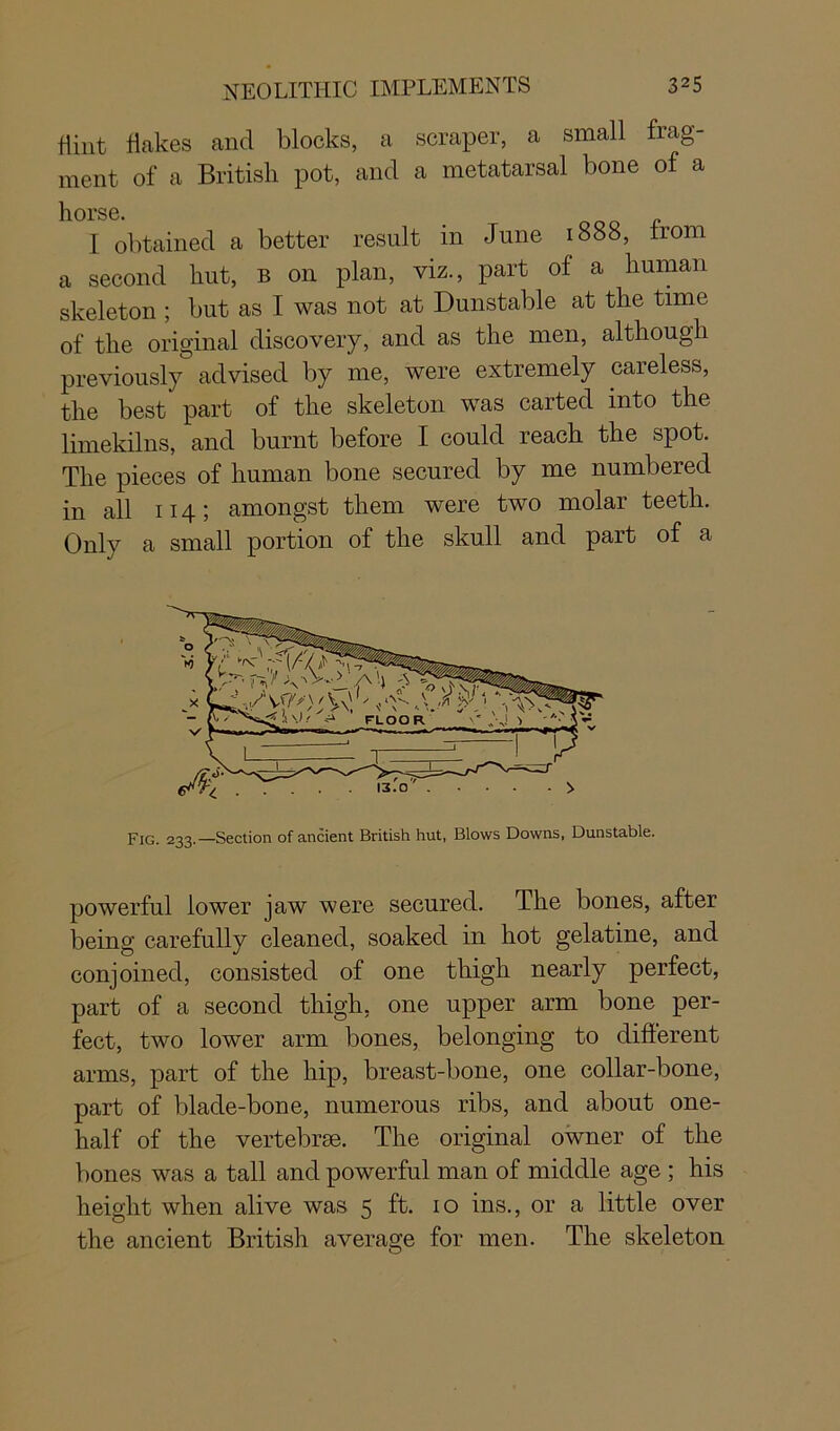 flint flakes and blocks, a scraper, a small frag- ment of a British pot, and a metatarsal bone of a horse. I obtained a better result in June 1888, from a second hut, b 011 plan, viz., part of a human skeleton ; but as I was not at Dunstable at the time of the original discovery, and as the men, although previously advised by me, were extremely careless, the best part of the skeleton was carted into the limekilns, and burnt before I could reach the spot. The pieces of human bone secured by me numbered in all 114; amongst them were two molar teeth. Only a small portion of the skull and part of a Fig. 233.—Section of ancient British hut, Blows Downs, Dunstable. powerful lower jaw were secured. The bones, after being carefully cleaned, soaked in hot gelatine, and conjoined, consisted of one thigh nearly perfect, part of a second thigh, one upper arm bone per- fect, two lower arm bones, belonging to different arms, part of the hip, breast-bone, one collar-bone, part of blade-bone, numerous ribs, and about one- half of the vertebrae. The original owner of the bones was a tall and powerful man of middle age ; his height when alive was 5 ft. 10 ins., or a little over the ancient British average for men. The skeleton