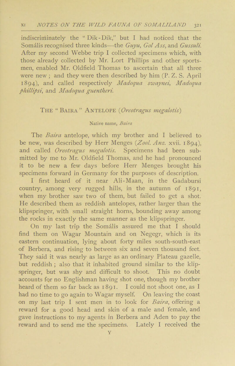 indiscriminately the “ Dik-Dik,” but I had noticed that the Somalis recognised three kinds—the Guyu, Gol Ass, and Gussuli. After my second Webbe trip I collected specimens which, with those already collected by Mr. Lort Phillips and other sports- men, enabled Mr. Oldfield Thomas to ascertain that all three were new ; and they were then described by him (P. Z. S. April 1894), and called respectively Madoqua swaynei, Madoqua phillipsi, and Madoqua guentlieri. The “ Baira ” Antelope (Oreotragus megalotis) Native name, Baira The Baira antelope, which my brother and I believed to be new, was described by Herr Menges (.Zool. Anz. xvii. 1 894), and called Oreotragus megalotis. Specimens had been sub- mitted by me to Mr. Oldfield Thomas, and he had pronounced it to be new a few days before Herr Menges brought his specimens forward in Germany for the purposes of description. I first heard of it near Ali-Maan, in the Gadabursi country, among very rugged hills, in the autumn of 1891, when my brother saw two of them, but failed to get a shot. He described them as reddish antelopes, rather larger than the klipspringer, with small straight horns, bounding away among the rocks in exactly the same manner as the klipspringer. On my last trip the Somalis assured me that I should find them on Wagar Mountain and on Negegr, which is its eastern continuation, lying about forty miles south-south-east of Berbera, and rising to between six and seven thousand feet. They said it was nearly as large as an ordinary Plateau gazelle, but reddish ; also that it inhabited ground similar to the klip- springer, but was shy and difficult to shoot. This no doubt accounts fQr no Englishman having shot one, though my brother heard of them so far back as 1891. I could not shoot one, as I had no time to go again to Wagar myself. On leaving the coast on my last trip I sent men in to look for Baira, offering a reward for a good head and skin of a male and female, and gave instructions to my agents in Berbera and Aden to pay the reward and to send me the specimens. Lately I received the Y