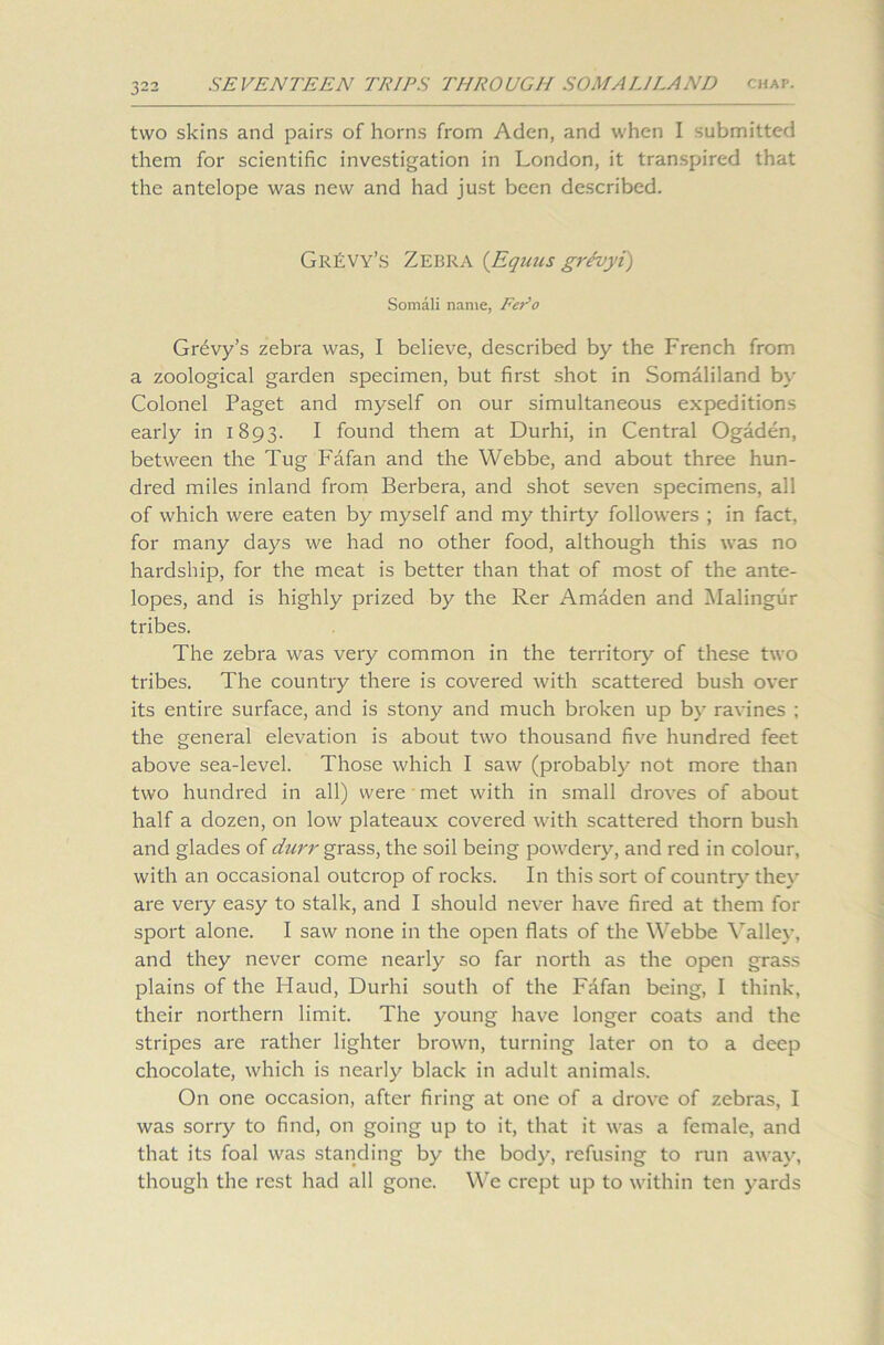 two skins and pairs of horns from Aden, and when I submitted them for scientific investigation in London, it transpired that the antelope was new and had just been described. Gravy’s Zebra (Equus grevyi) Somali name, FePo Grevy’s zebra was, I believe, described by the French from a zoological garden specimen, but first shot in Somaliland by Colonel Paget and myself on our simultaneous expeditions early in 1893. I found them at Durhi, in Central Ogaden, between the Tug Fafan and the Webbe, and about three hun- dred miles inland from Berbera, and shot seven specimens, all of which were eaten by myself and my thirty followers ; in fact, for many days we had no other food, although this was no hardship, for the meat is better than that of most of the ante- lopes, and is highly prized by the Rer Amaden and Malingur tribes. The zebra was very common in the territory of these two tribes. The country there is covered with scattered bush over its entire surface, and is stony and much broken up by ravines ; the general elevation is about two thousand five hundred feet above sea-level. Those which I saw (probably not more than two hundred in all) were met with in small droves of about half a dozen, on low plateaux covered with scattered thorn bush and glades of durr grass, the soil being powdery, and red in colour, with an occasional outcrop of rocks. In this sort of country they are very easy to stalk, and I should never have fired at them for sport alone. I saw none in the open flats of the Webbe Valley, and they never come nearly so far north as the open grass plains of the Haud, Durhi south of the Fafan being, I think, their northern limit. The young have longer coats and the stripes are rather lighter brown, turning later on to a deep chocolate, which is nearly black in adult animals. On one occasion, after firing at one of a drove of zebras, I was sorry to find, on going up to it, that it was a female, and that its foal was standing by the body, refusing to run away, though the rest had all gone. We crept up to within ten yards
