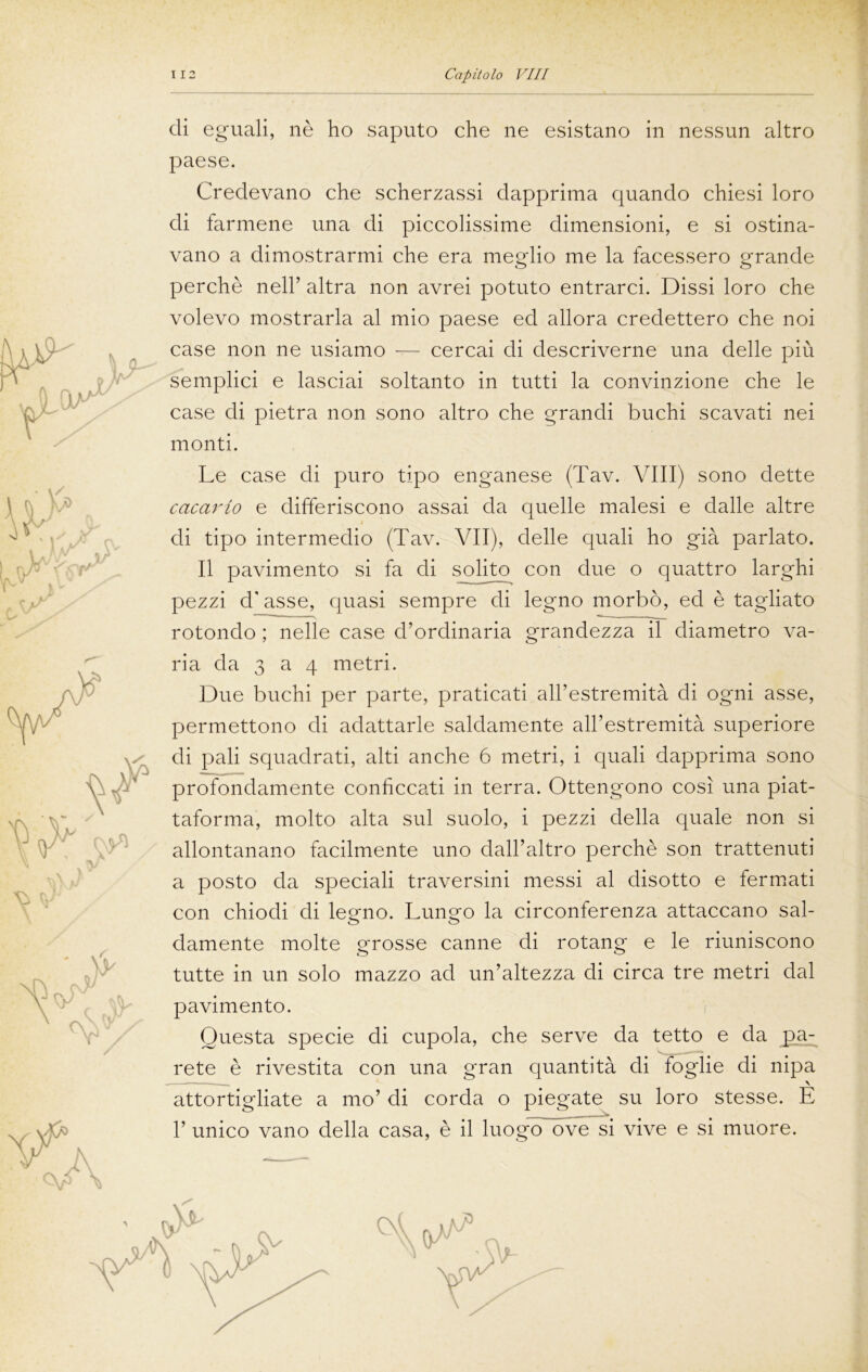 eli eguali, nè ho saputo che ne esistano in nessun altro paese. Credevano che scherzassi dapprima quando chiesi loro di farmene una di piccolissime dimensioni, e si ostina- vano a dimostrarmi che era meglio me la facessero grande perchè nell’ altra non avrei potuto entrarci. Dissi loro che volevo mostrarla al mio paese ed allora credettero che noi case non ne usiamo — cercai di descriverne una delle più semplici e lasciai soltanto in tutti la convinzione che le case di pietra non sono altro che grandi buchi scavati nei monti. Le case di puro tipo enganese (Tav. Vili) sono dette cacarlo e differiscono assai da quelle malesi e dalle altre di tipo intermedio (Tav. VII), delle quali ho già parlato. Il pavimento si fa di solito con due o quattro larghi pezzi d'asse, quasi sempre di legno morbo, ed è tagliato rotondo ; nelle case d’ordinaria grandezza il diametro va- ria da 3 a 4 metri. Due buchi per parte, praticati all’estremità di ogni asse, permettono di adattarle saldamente all’estremità superiore di pali squadrati, alti anche 6 metri, i quali dapprima sono profondamente conficcati in terra. Ottengono così una piat- taforma, molto alta sul suolo, i pezzi della quale non si allontanano facilmente uno dall’altro perchè son trattenuti a posto da speciali traversini messi al disotto e fermati con chiodi di legno. Lungo la circonferenza attaccano sal- damente molte grosse canne di rotang e le riuniscono tutte in un solo mazzo ad un’altezza di circa tre metri dal pavimento. Questa specie di cupola, che serve da tetto e da pa- rete è rivestita con una gran quantità di foglie di nipa . \ attortigliate a mo’ di corda o piegate su loro stesse. E 1’ unico vano della casa, è il luogo ~ove si vive e si muore.