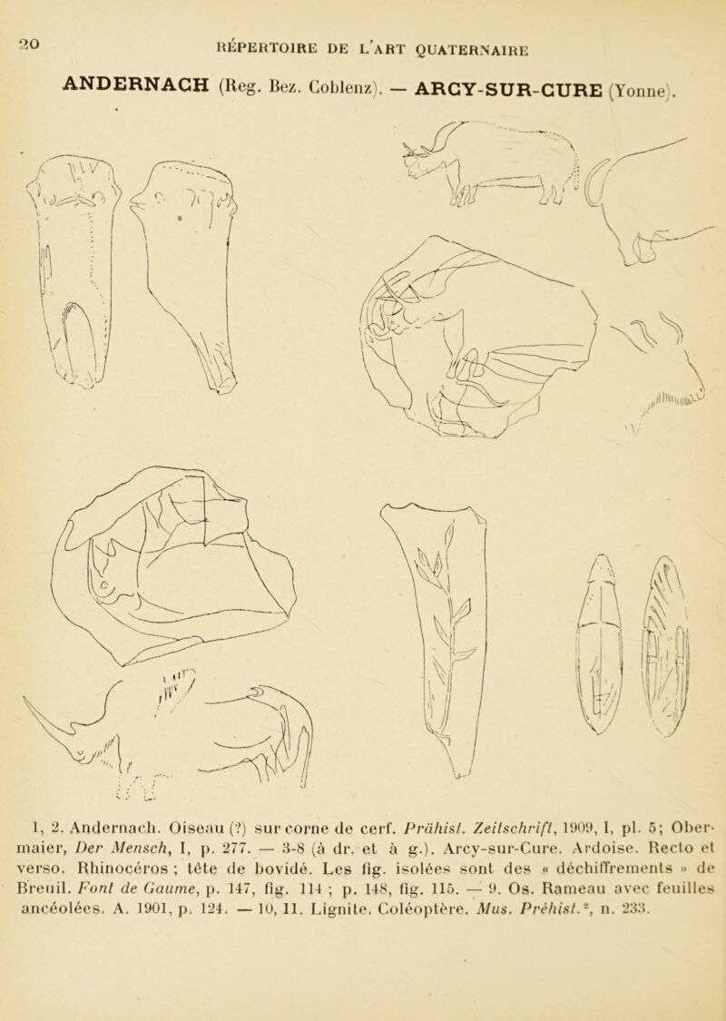 ANDERNAGH (Reg. Bez. Coblenz). — ARGY-SUR-GURE (Yonne;. 1, 2. Andernach. Oiseau (?) sur corne de cerf. Prcihisl. Zeitschrift, 1909, I, pl. 5; Ober- maier, Der Mensch, I, p. 277. — 3-8 (à dr. et à g.). Arcy-sur-Cure. Ardoise. Recto et verso. Rhinocéros ; tête de bovidé. Les fig. isolées sont des « déchiffrements » de Breuil. Font de Gaunie, p. 147, fig. 114 ; p. 148, fig. 115. — 9. Os. Rameau avec feuilles