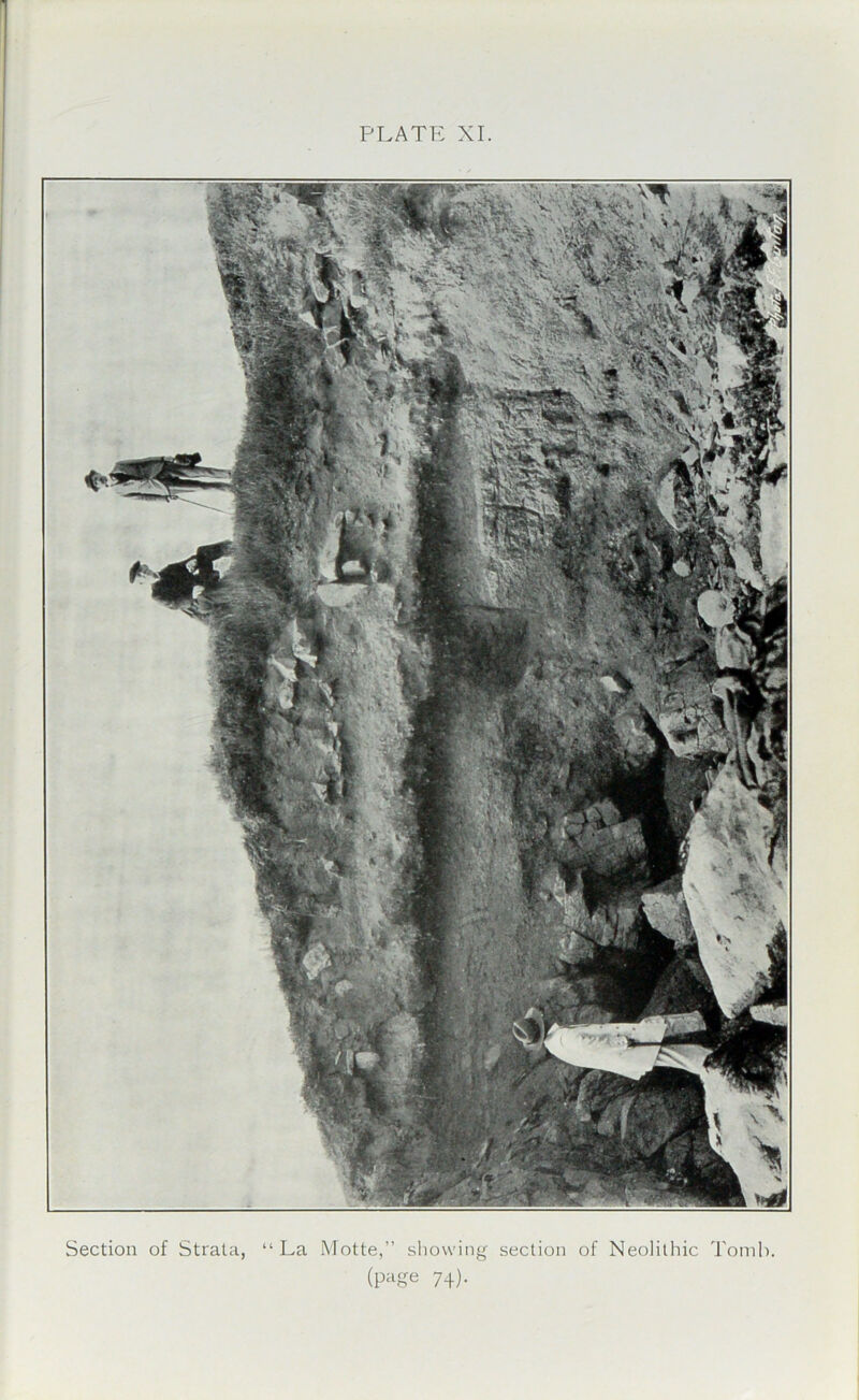 Section of Strata, “La Motte,” showing section of Neolithic Tomb (page 74).