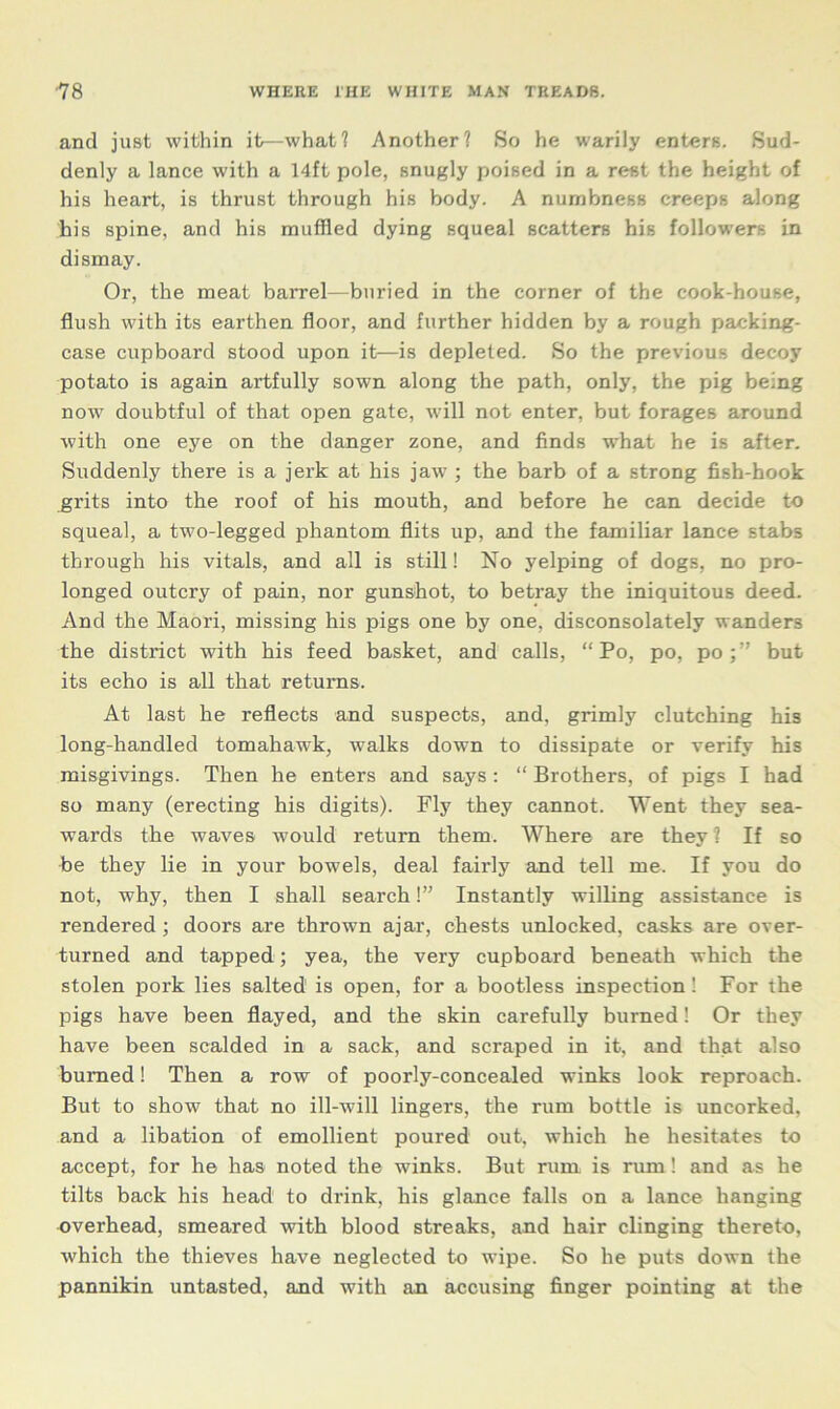 and just within it—what? Another? So he warily enters. Sud- denly a lance with a 14ft pole, snugly poised in a rest the height of his heart, is thrust through his body. A numbness creeps along his spine, and his muffled dying squeal scatters his followers in dismay. Or, the meat barrel—buried in the corner of the cook-house, flush with its earthen floor, and further hidden by a rough packing- case cupboard stood upon it—is depleted. So the previous decoy potato is again artfully sown along the path, only, the pig being now doubtful of that open gate, will not enter, but forages around with one eye on the danger zone, and finds what he is after. Suddenly there is a jerk at his jawT; the barb of a strong fish-hook grits into the roof of his mouth, and before he can decide to squeal, a two-legged phantom flits up, and the familiar lance stabs through his vitals, and all is still! No yelping of dogs, no pro- longed outcry of pain, nor gunshot, to betray the iniquitous deed. And the Maori, missing his pigs one by one, disconsolately wanders the district with his feed basket, and calls, “ Po, po, pobut its echo is all that returns. At last he reflects and suspects, and, grimly clutching his long-handled tomahawk, walks down to dissipate or verify his misgivings. Then he enters and says : “ Brothers, of pigs I had so many (erecting his digits). Fly they cannot. Went they sea- wards the waves would return them. Where are they ? If so be they lie in your bowels, deal fairly and tell me. If you do not, why, then I shall search!” Instantly willing assistance is rendered ; doors are thrown ajar, chests unlocked, casks are over- turned and tapped ; yea, the very cupboard beneath which the stolen pork lies salted is open, for a bootless inspection! For the pigs have been flayed, and the skin carefully burned! Or they have been scalded in a sack, and scraped in it, and that also burned! Then a row of poorly-concealed winks look reproach. But to show that no ill-will lingers, the rum bottle is uncorked, and a libation of emollient poured out, which he hesitates to accept, for he has noted the winks. But rum is rum! and as he tilts back his head to di'ink, his glance falls on a lance hanging overhead, smeared with blood streaks, and hair clinging thereto, which the thieves have neglected to wipe. So he puts down the pannikin untasted, and with an accusing finger pointing at the