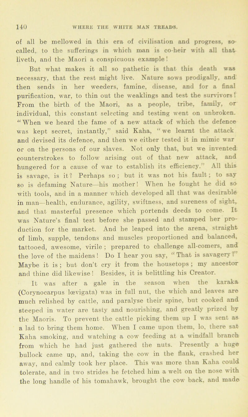 of all be mellowed in this era of civilisation and progress, so called, to the sufferings in which man is co-heir with all that liveth, and the Maori a conspicuous example! But what makes it all so pathetic is that this death was necessary, that the rest might live. Nature sows prodigally, and then sends in her weeders, famine, disease, and for a final purification, war, to thin out the weaklings and test the survivors! From the birth of the Maori, as a people, tribe, family, or individual, this constant selecting and testing went on unbroken. “ When we heard the fame of a new attack of which the defence was kept secret, instantly,” said Kaha, “we learnt the attack and devised its defence, and then we either tested it in mimic war or on the persons of our slaves. Not only that, but we invented counterstrokes to follow arising out of that new attack, and hungered for a cause of war to establish its efficiency. All this is savage, is it 1 Perhaps so ; but it was not his fault; to say so is defaming Nature—his mother! When he fought he did so with tools, and in a manner which developed all that was desirable in man—health, endurance, agility, swiftness, and sureness of sight, and that masterful presence which portends deeds to come. It was Nature’s final test before she passed and stamped her pro- duction for the market. And he leaped into the arena, straight of limb, supple, tendons and muscles proportioned and balanced, tattooed, awesome, virile ; prepared to challenge all-comers, and the love of the maidens ! Do I hear you say, “ That is savagery ? Maybe it is ; but don’t cry it from the housetops ; my ancestor and thine did likewise ! Besides, it is belittling his Creator. It was after a gale in the season when the karaka (Corynocarpus loevigata) was in full nut, the which and leaves are much relished by cattle, and paralyse their spine, but cooked and steeped in water are tasty and nourishing, and greatly prized by the Maoris. To prevent the cattle picking them up I was sent as a lad to bring them home. When I came upon them, lo, there sat Kaha smoking, and watching a cow feeding at a windfall branch from which he had just gathered the nuts. Presently a huge bullock came up, and, taking the cow in the flank, crashed her away, and calmly took her place. This was more than Kaha could tolerate, and in two strides he fetched him a welt on the nose with the long handle of his tomahawk, brought the cow back, and made