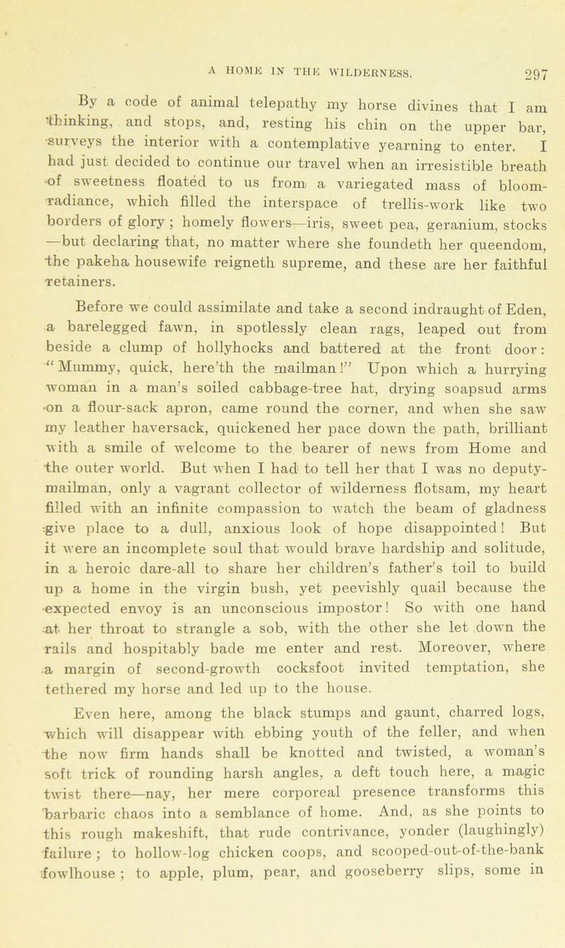 By a code of animal telepathy my horse divines that I am thinking, and stops, and, resting his chin on the upper bar, •surveys the interior with a contemplative yearning to enter. I had just decided to continue our travel when an irresistible breath •of sweetness floated to us from- a variegated mass of bloom- radiance, which filled the interspace of trellis-work like two borders of glory ; homely flowers—iris, sweet pea, geranium, stocks but declaring that, no matter where she foundeth her queendom, •the pakelia housewife reigneth supreme, and these are her faithful retainers. Before we could assimilate and take a second indraught of Eden, a barelegged fawn, in spotlessly clean rags, leaped out from beside a clump of hollyhocks and battered at the front door: “ Mummy, quick, here’th the mailman!” Upon which a hurrying woman in a man’s soiled cabbage-tree hat, drying soapsud arms ■on a flour-sack apron, came round the corner, and when she saw my leather haversack, quickened her pace down the path, brilliant with a smile of welcome to the bearer of news from Home and the outer world. But when I had to tell her that I was no deputy- mailman, only a vagrant collector of wilderness flotsam, my heart filled with an infinite compassion to watch the beam of gladness :give place to a dull, anxious look of hope disappointed! But it were an incomplete soul that would brave hardship and solitude, in a heroic dare-all to share her children’s father’s toil to build up a home in the virgin bush, yet peevishly quail because the expected envoy is an unconscious impostor! So with one hand at her throat to strangle a sob, with the other she let down the rails and hospitably bade me enter and rest. Moreover, where a margin of second-growth cocksfoot invited temptation, she tethered my horse and led up to the house. Even here, among the black stumps and gaunt, charred logs, which will disappear with ebbing youth of the feller, and when the now firm hands shall be knotted and twisted, a woman s soft trick of rounding harsh angles, a deft touch here, a magic twist there—nay, her mere corporeal presence transforms this barbaric chaos into a semblance of home. And, as she points to this rough makeshift, that rude contrivance, yonder (laughingly) failure ; to hollow-log chicken coops, and scooped-out-of-the-bank fowlhouse ; to apple, plum, pear, and gooseberry slips, some in