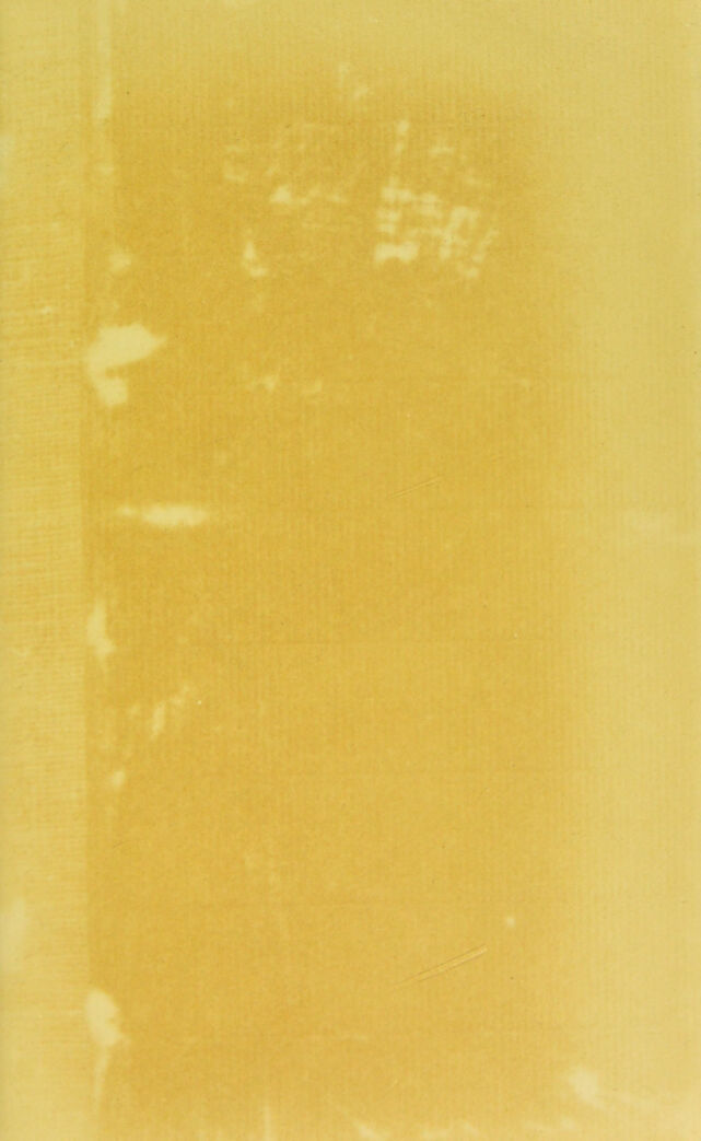 digitised image 3