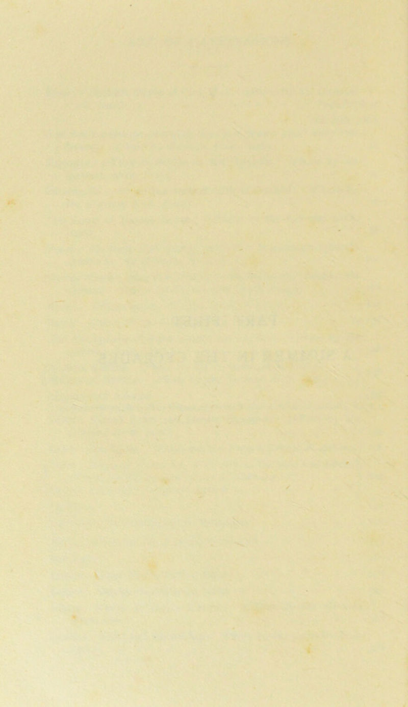 ■■ X S ,1 N y i I 'I > - i 4 \ '♦ ■> ' iif. ■ % / NT / ' N * i j