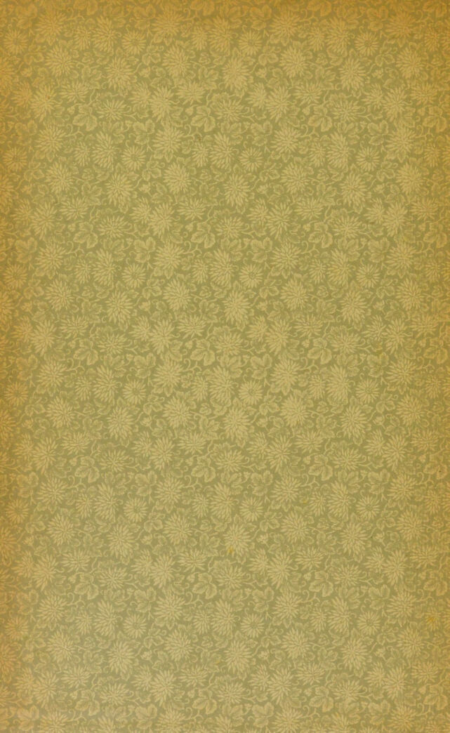 digitised image 2