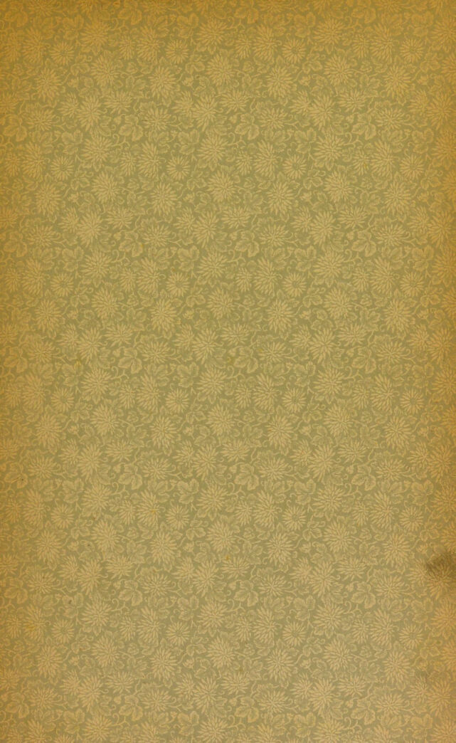 digitised image 3