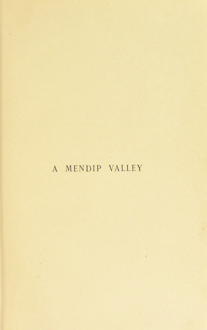 A MENDIP VALLEY