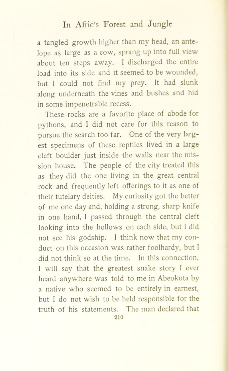 a tangled growth higher than my head, an ante- lope as large as a cow, sprang up into full view about ten steps away. I discharged the entire load into its side and it seemed to be wounded, but 1 could not find my prey. It had slunk along underneath the vines and bushes and hid in some impenetrable recess. These rocks are a favorite place of abode for pythons, and I did not care for this reason to pursue the search too far. One of the very larg- est specimens of these reptiles lived in a large cleft boulder just inside the walls near the mis- sion house. The people of the city treated this as they did the one living in the great central rock and frequently left offerings to it as one of their tutelary deities. My curiosity got the better of me one day and, holding a strong, sharp knife in one hand, 1 passed through the central cleft looking into the hollows on each side, but 1 did not see his godship. I think now that my con- duct on this occasion was rather foolhardy, but I did not think so at the time. In this connection, I will say that the greatest snake story I ever heard anywhere was told to me in Abeokuta by a native who seemed to be entirely in earnest, but 1 do not wish to be held responsible for the truth of his statements. The man declared that