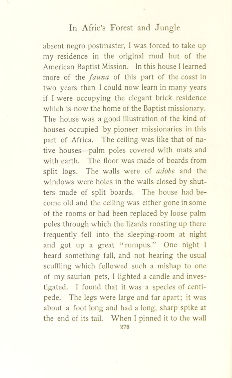 absent negro postmaster, I was forced to take up my residence in the original mud hut of the American Baptist Mission. In this house I learned more of the fauna of this part of the coast in two years than I could now learn in many years if I were occupying the elegant brick residence which is now the home of the Baptist missionary. The house was a good illustration of the kind of houses occupied by pioneer missionaries in this part of Africa. The ceiling was like that of na- tive houses—palm poles covered with mats and with earth. The floor was made of boards from split logs. The walls were of adobe and the windows were holes in the walls closed by shut- ters made of split boards. The house had be- come old and the ceiling was either gone in some of the rooms or had been replaced by loose palm poles through which the lizards roosting up there frequently fell into the sleeping-room at night and got up a great “rumpus.” One night 1 heard something fall, and not hearing the usual scuffling which followed such a mishap to one of my saurian pets, I lighted a candle and inves- tigated. I found that it was a species of centi- pede. The legs were large and far apart; it was about a foot long and had a long, sharp spike at the end of its tail. When I pinned it to the wall